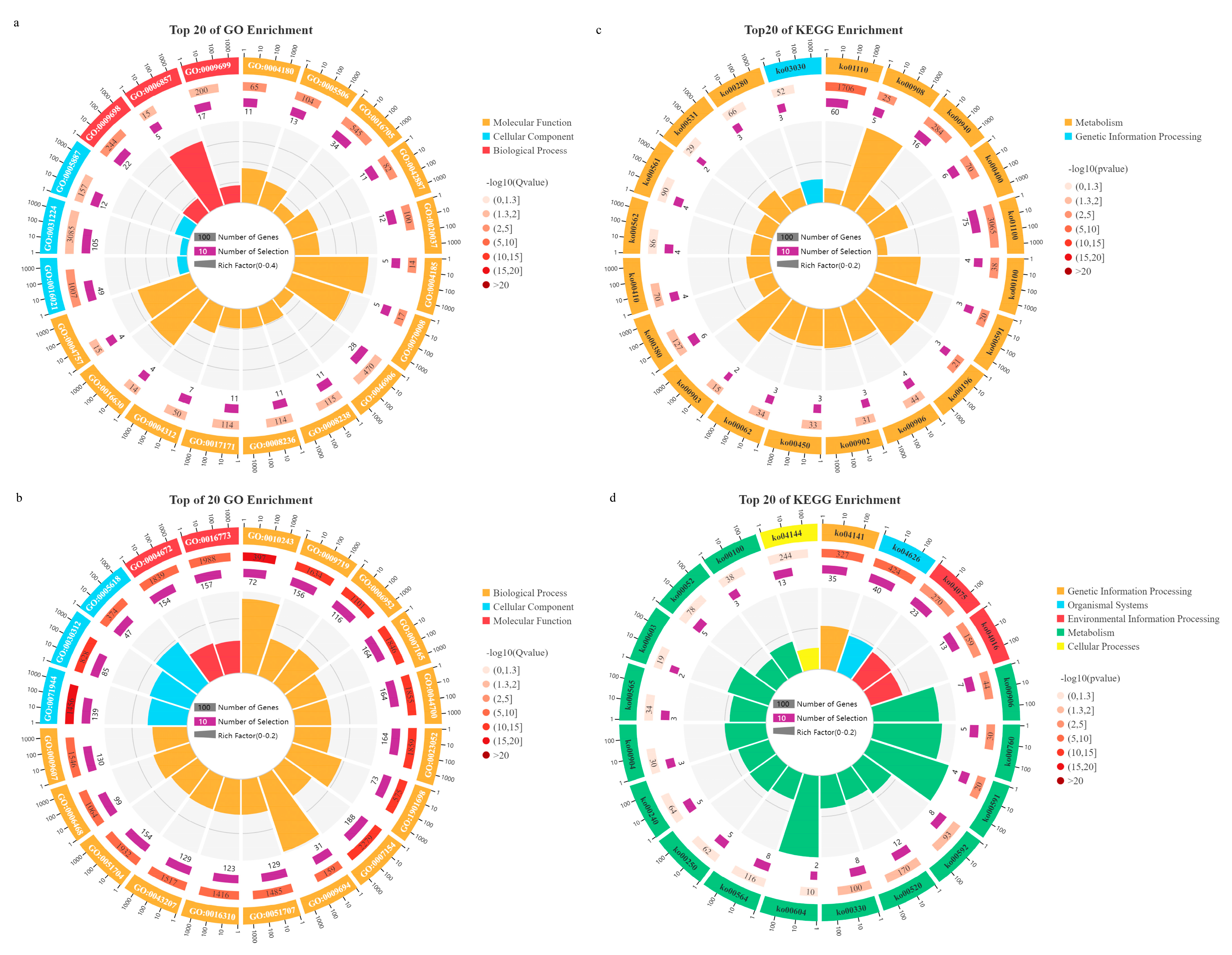 Forests 15 00538 g009