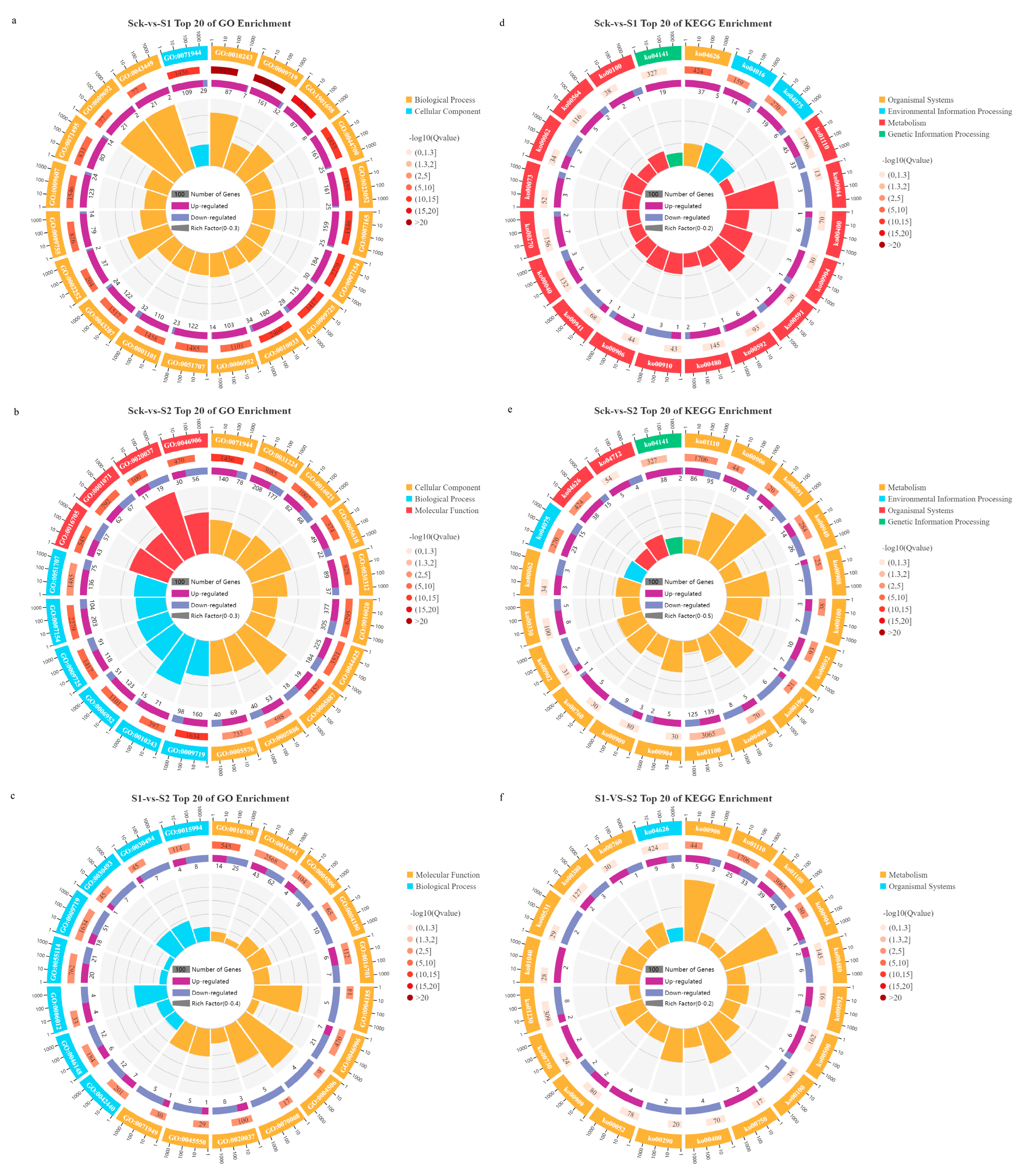 Forests 15 00538 g010