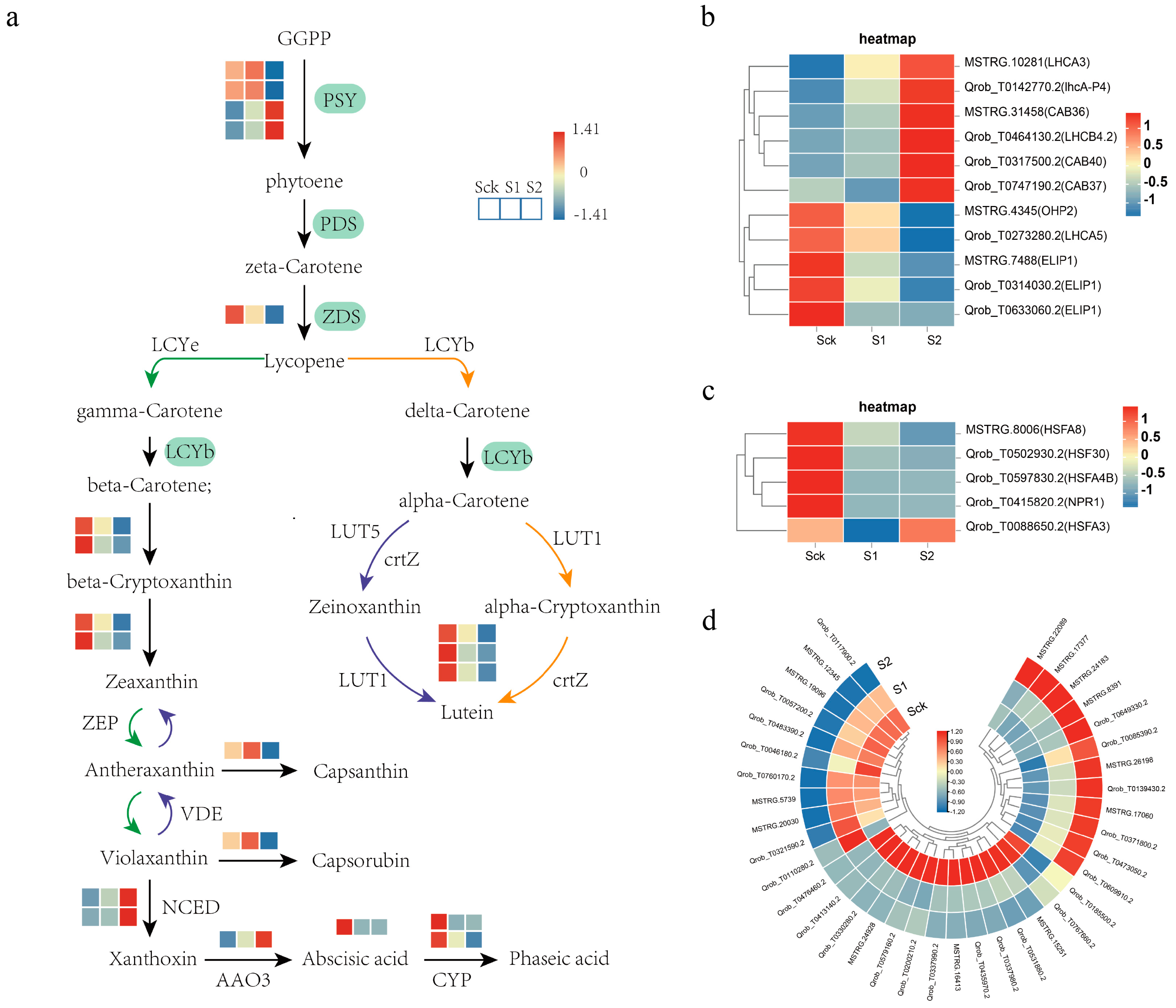 Forests 15 00538 g011