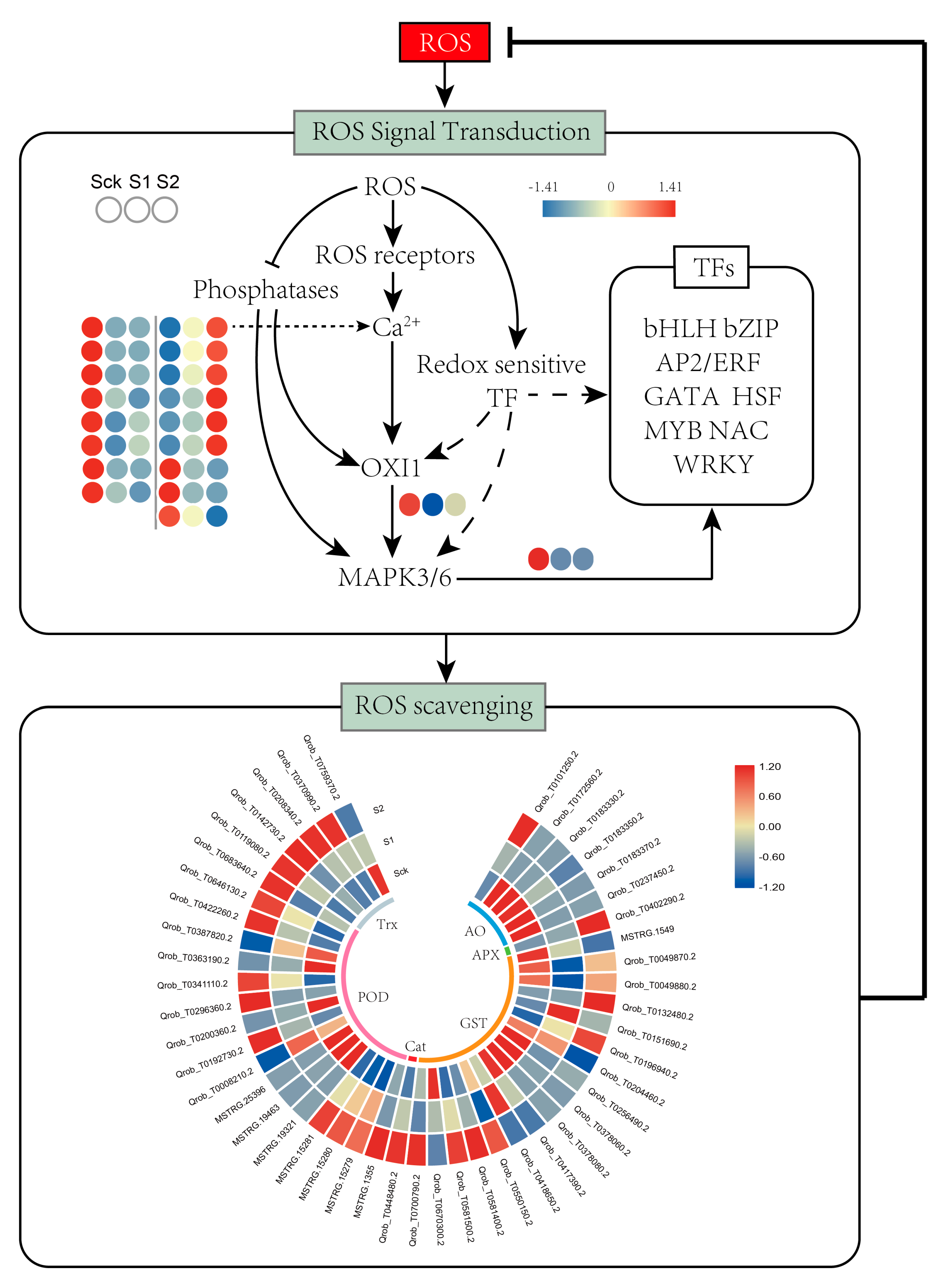 Forests 15 00538 g012
