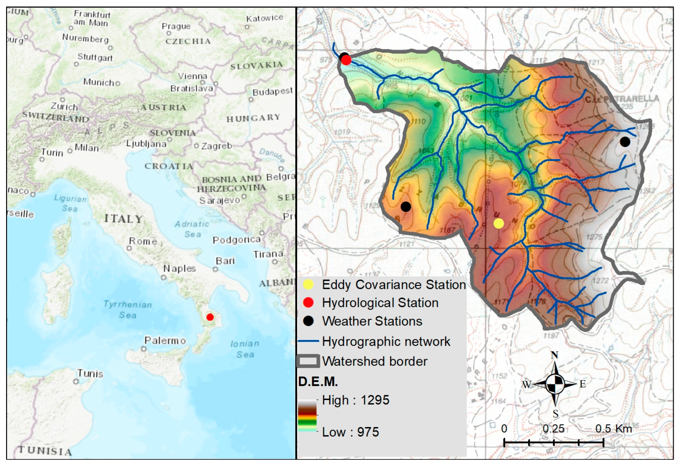 Intraspecific Variability of Xylem Hydraulic Traits of