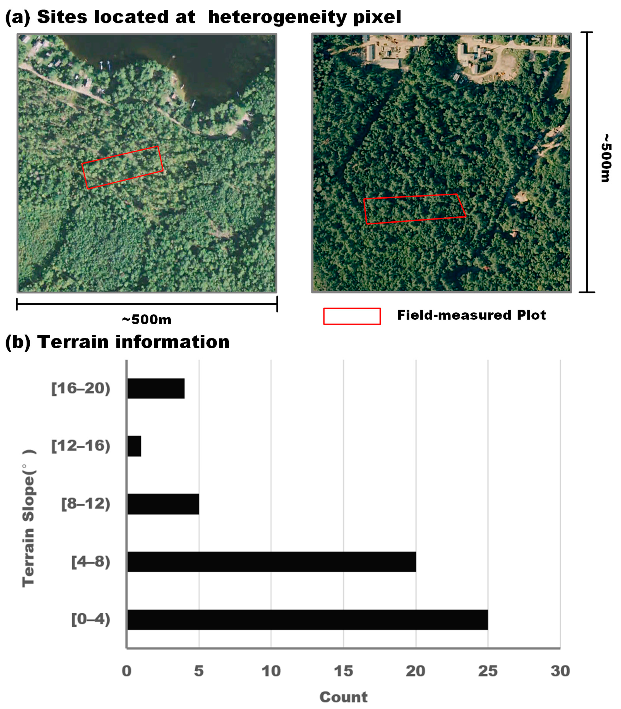 Forests 15 00541 g005
