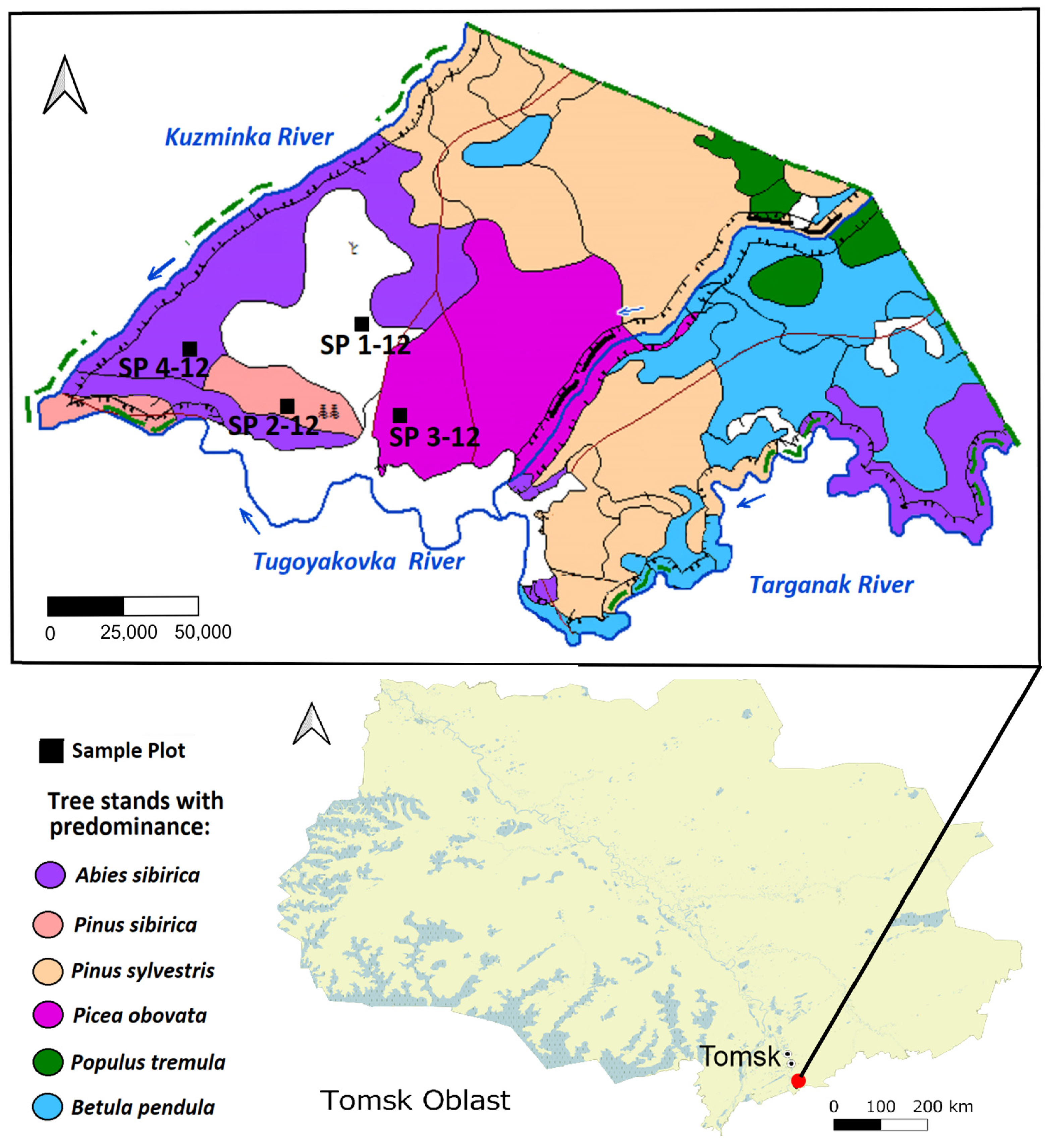 Forests 15 00542 g001 Forests 15 00542 g001