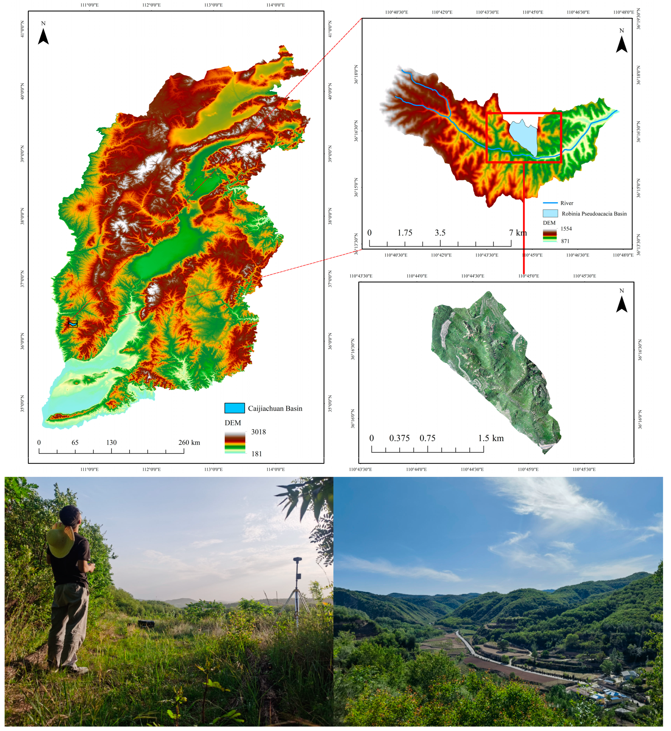 Forests 15 00548 g001