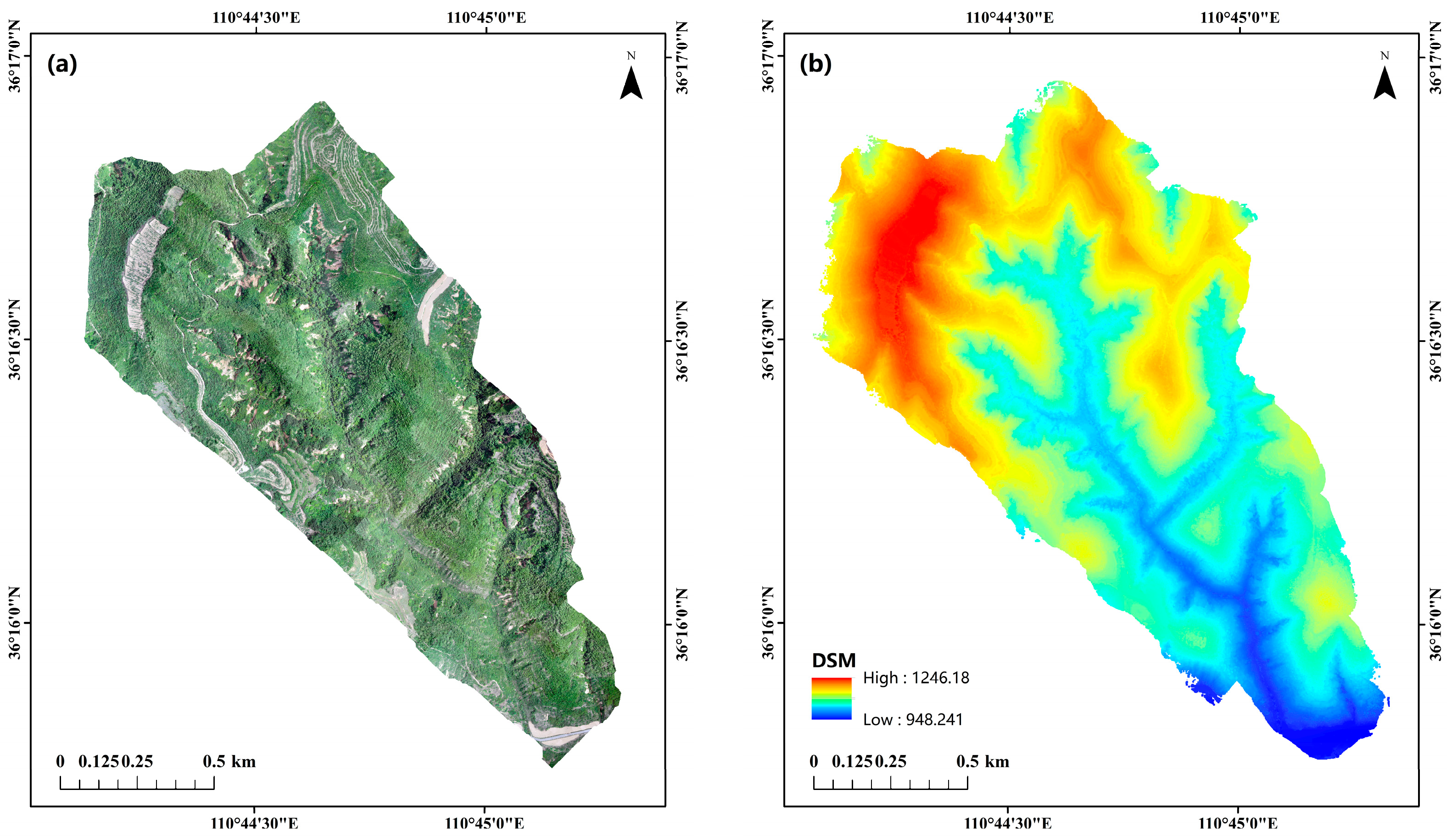 Forests 15 00548 g002a