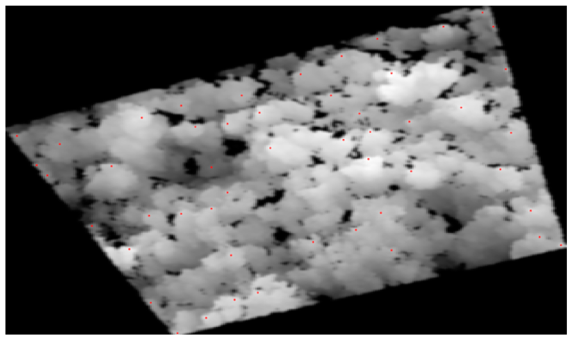 Forests 15 00548 g003