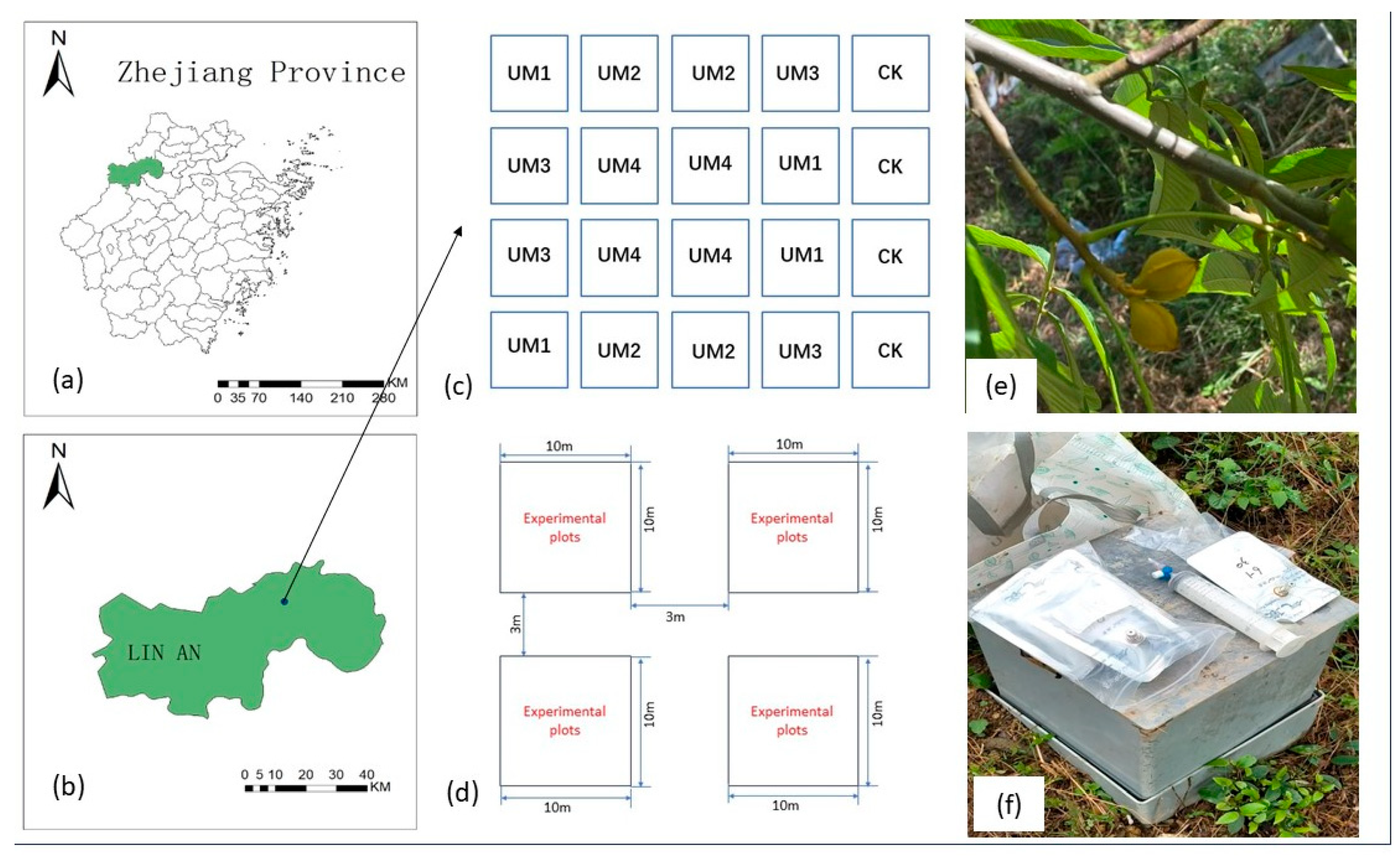 Forests 15 00558 g001
