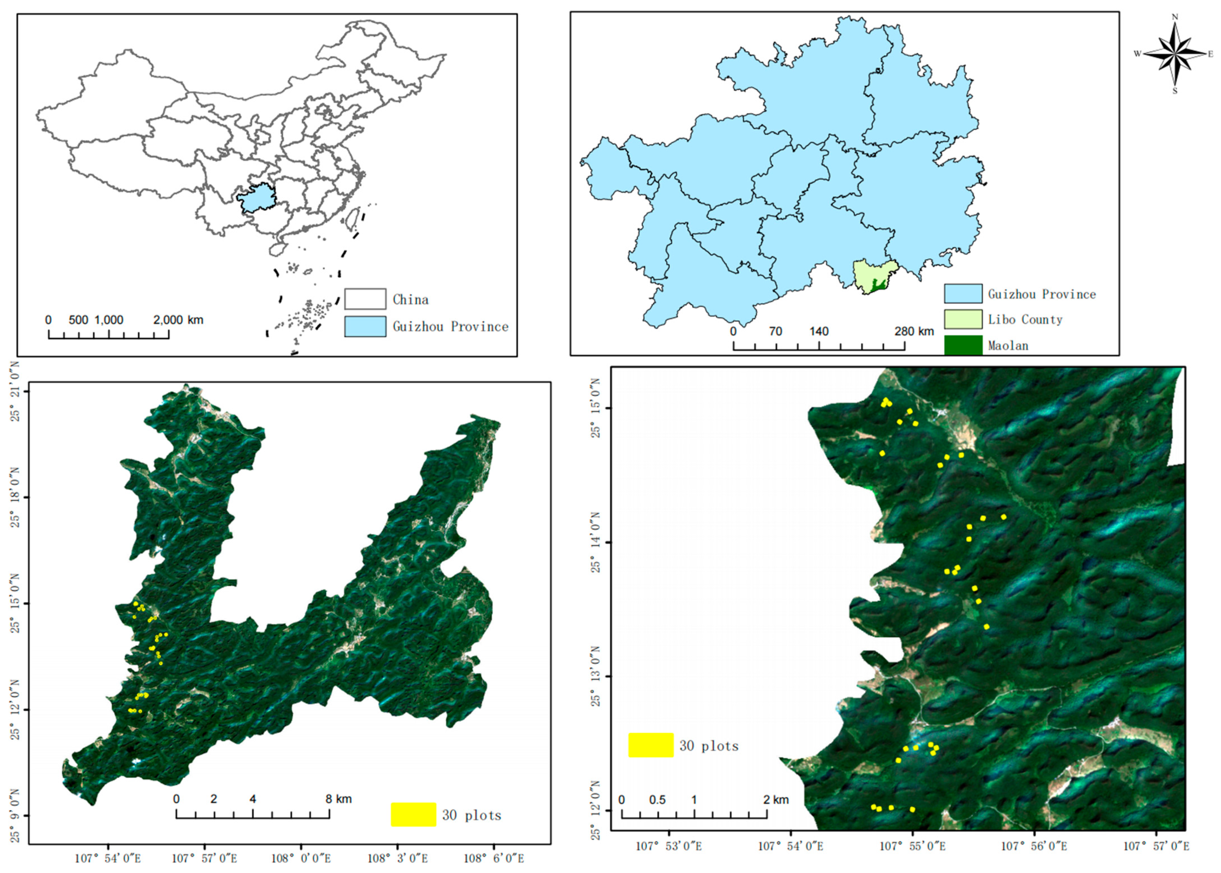 Forests 15 00559 g001 Forests 15 00559 g001