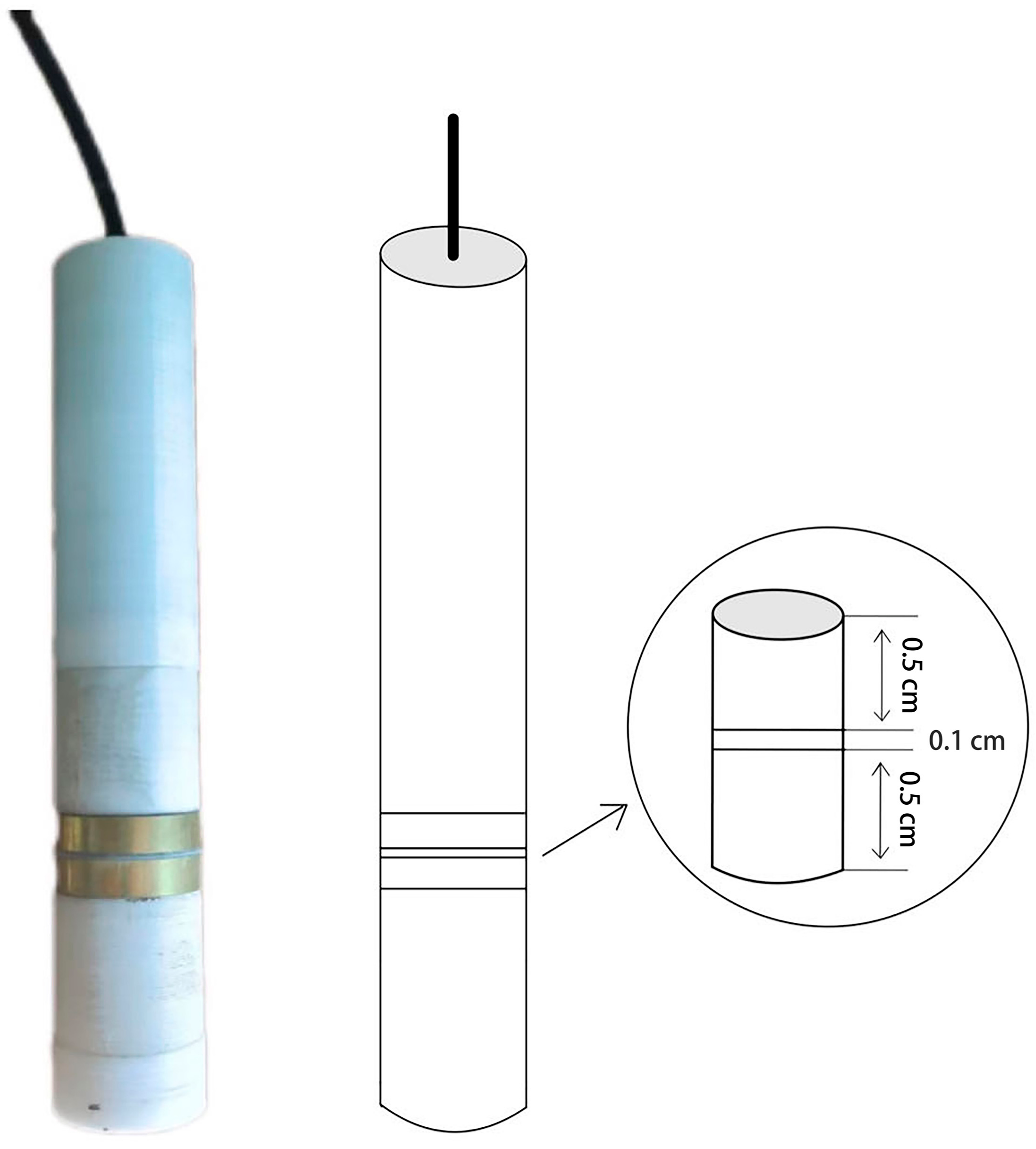 Forests 15 00569 g003 Forests 15 00569 g003