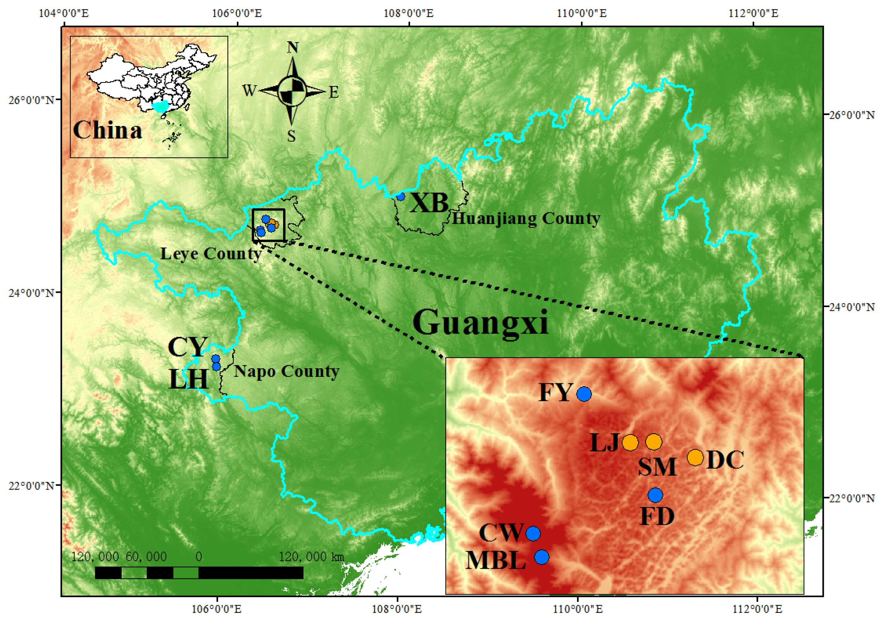 Forests 15 00576 g001