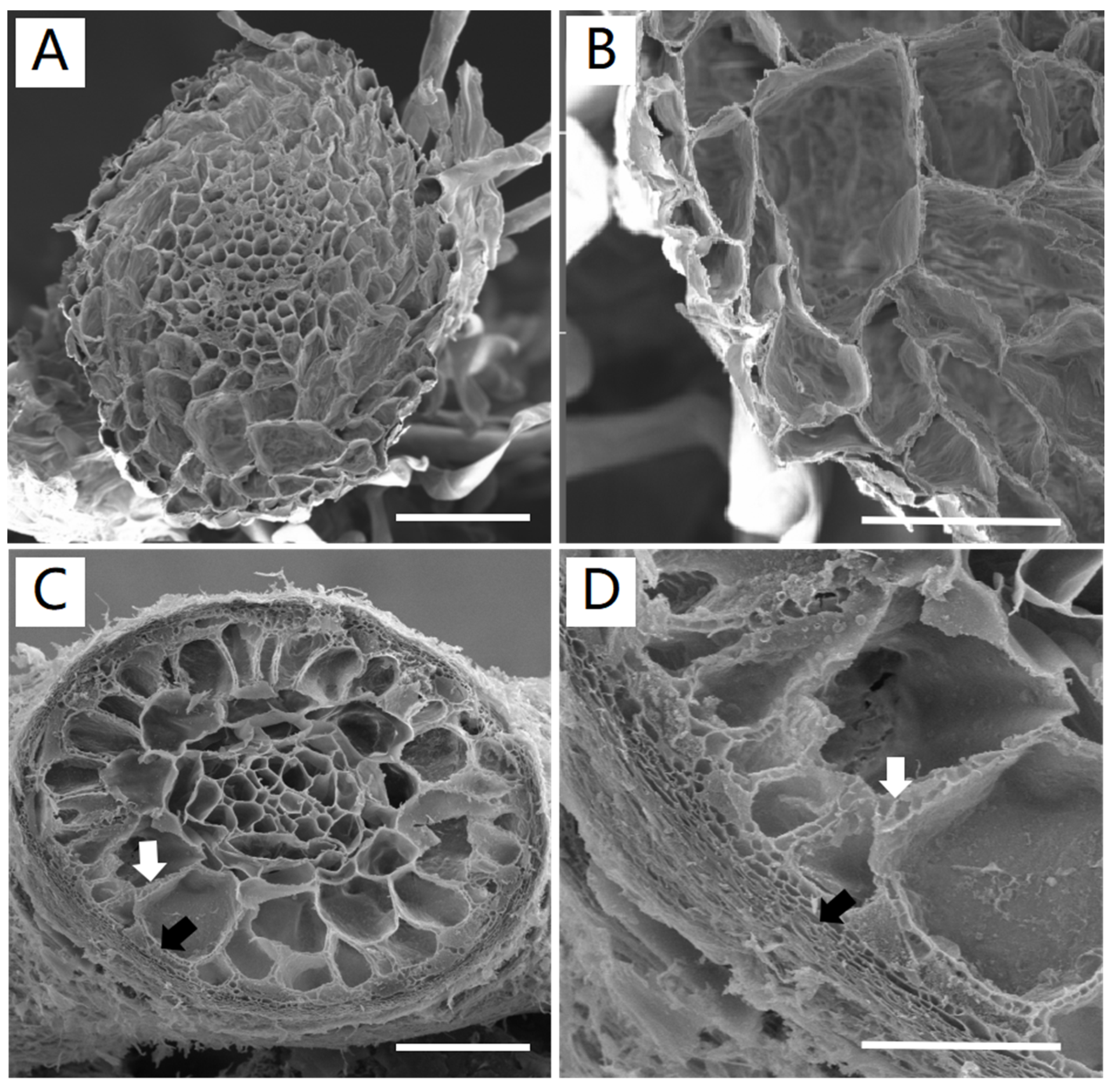 Forests 15 00578 g008