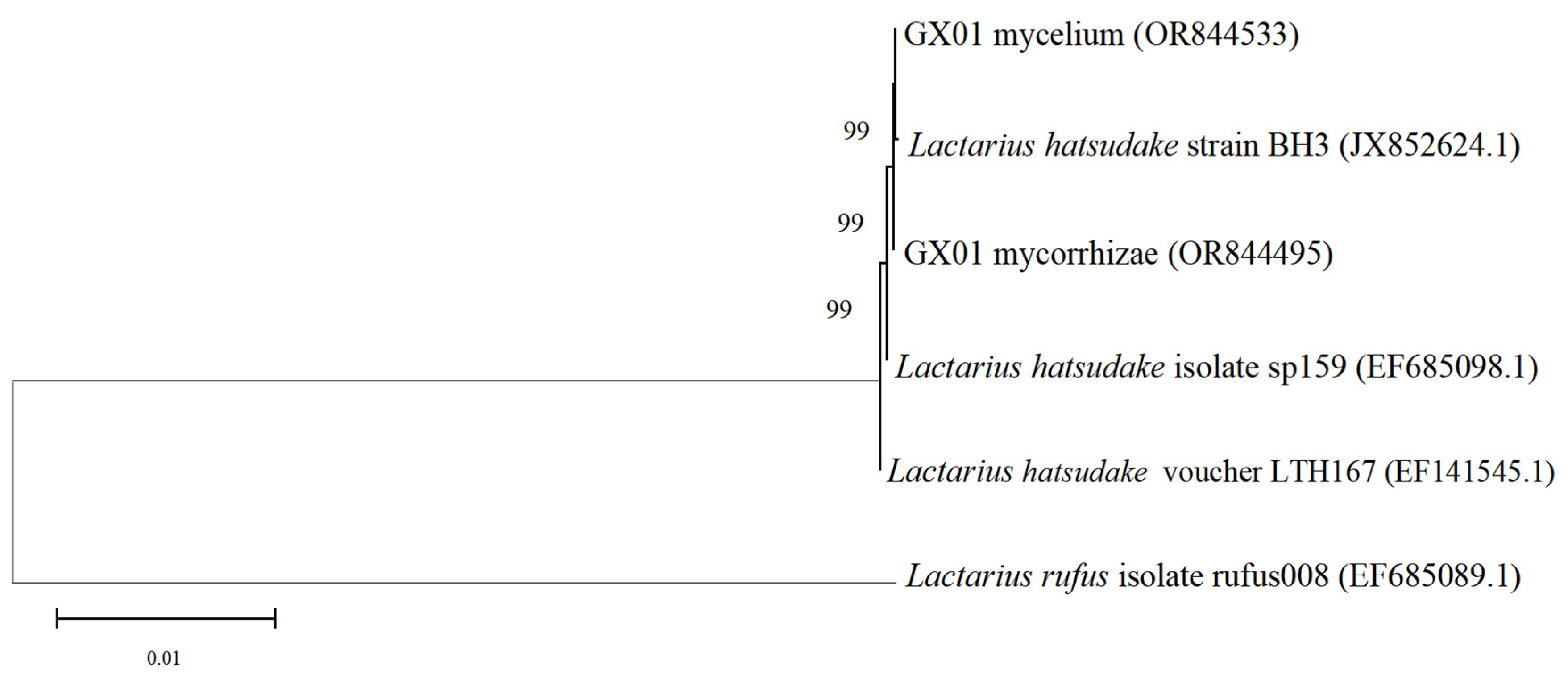 Forests 15 00578 g009