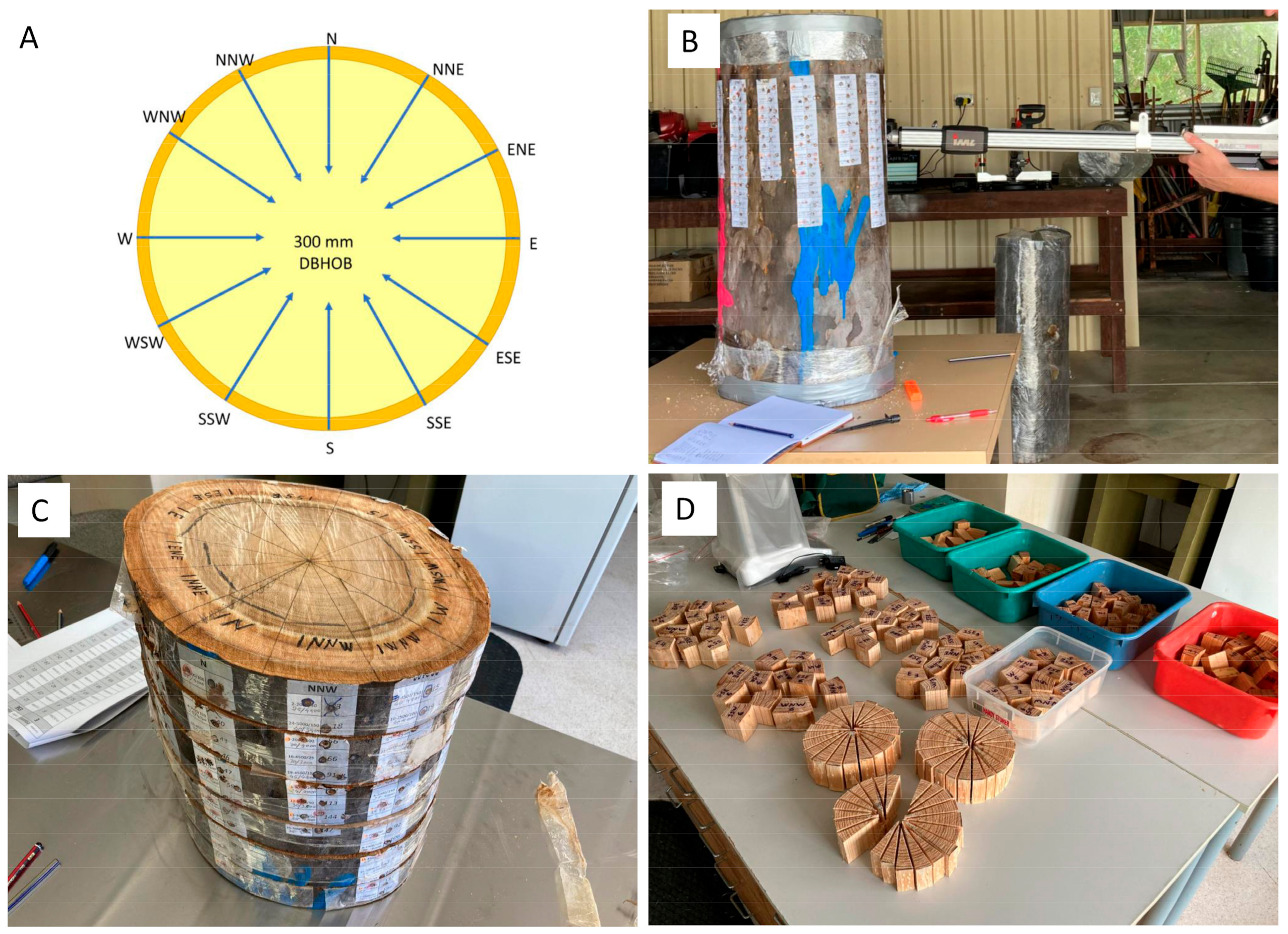 Forests 15 00579 g001