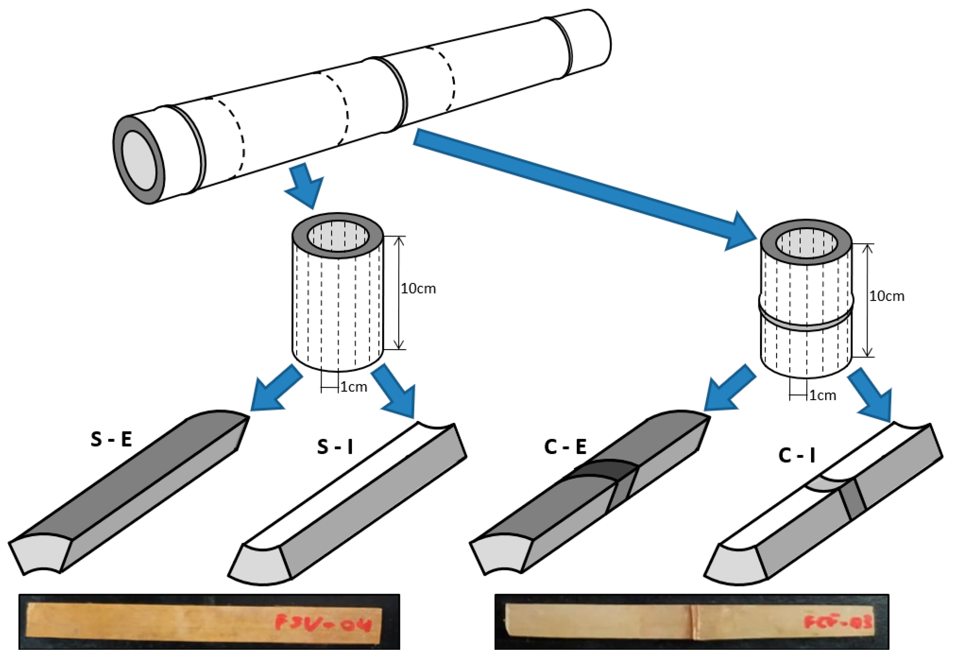 Forests 15 00580 g001