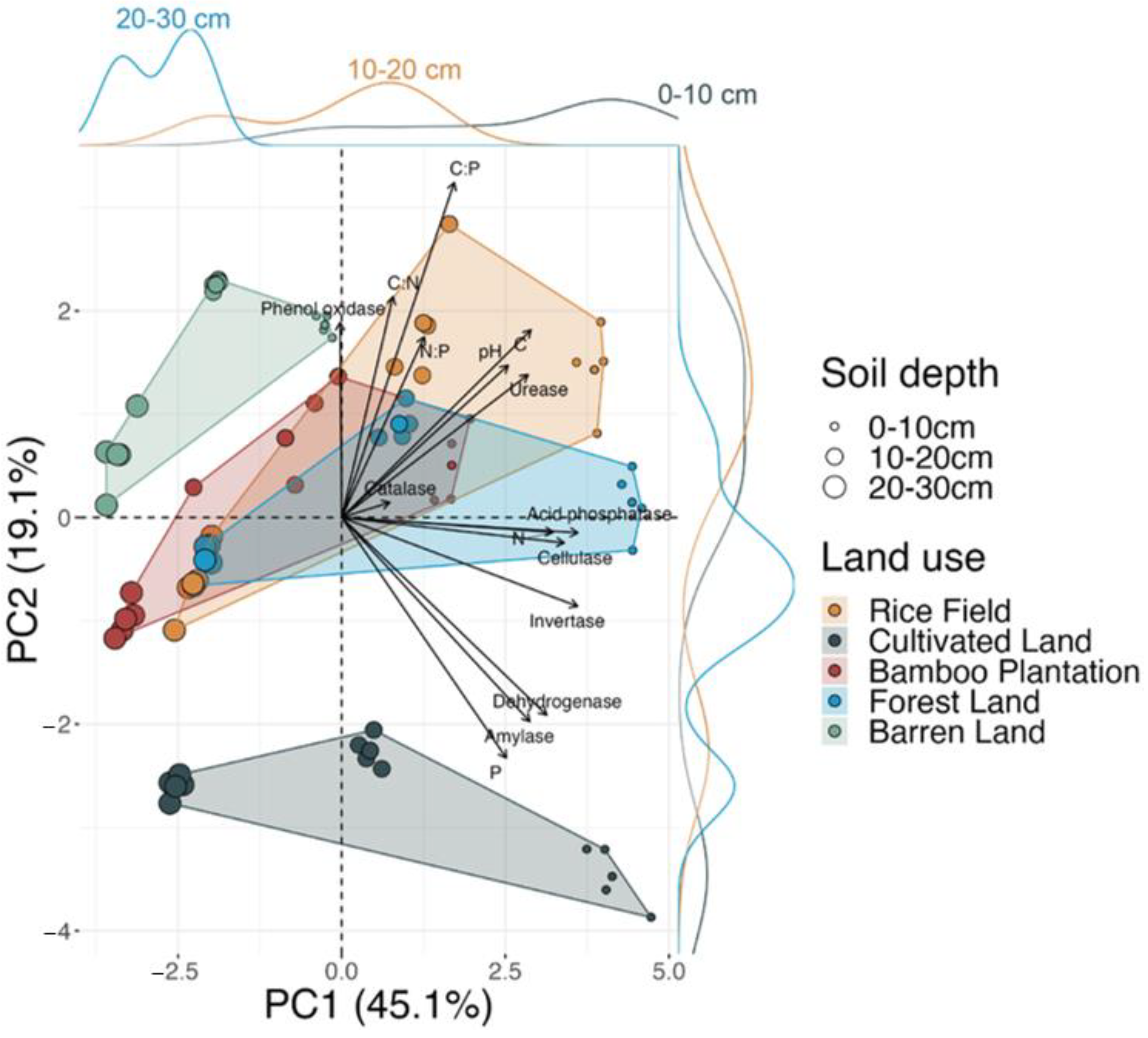 Forests 15 00581 g005