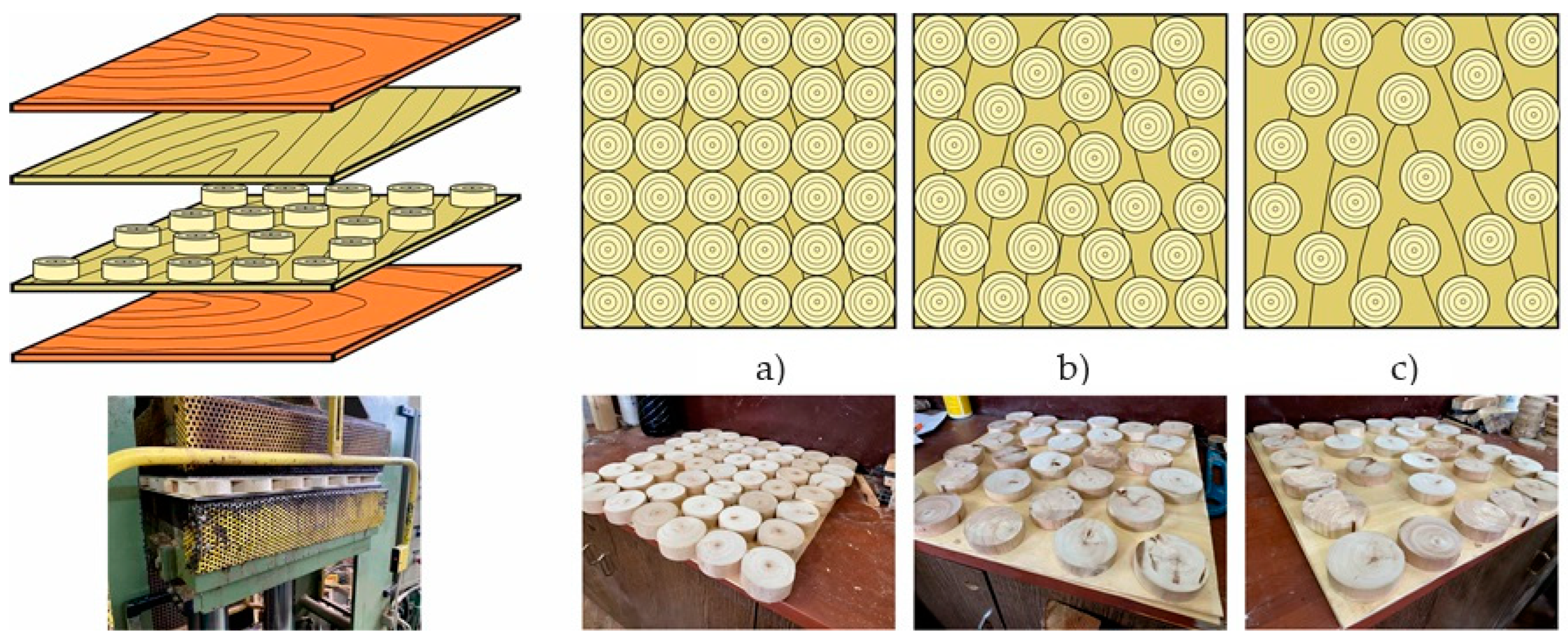 Forests 15 00582 g002