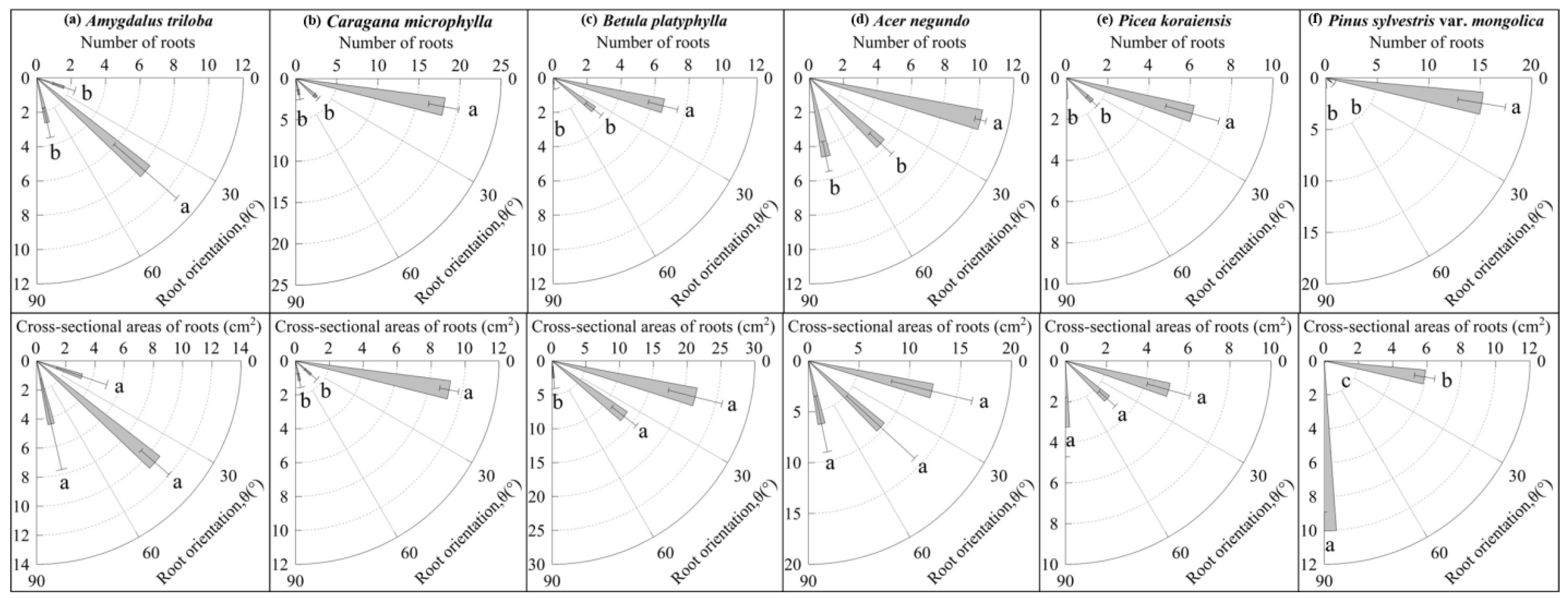 Forests 15 00585 g010