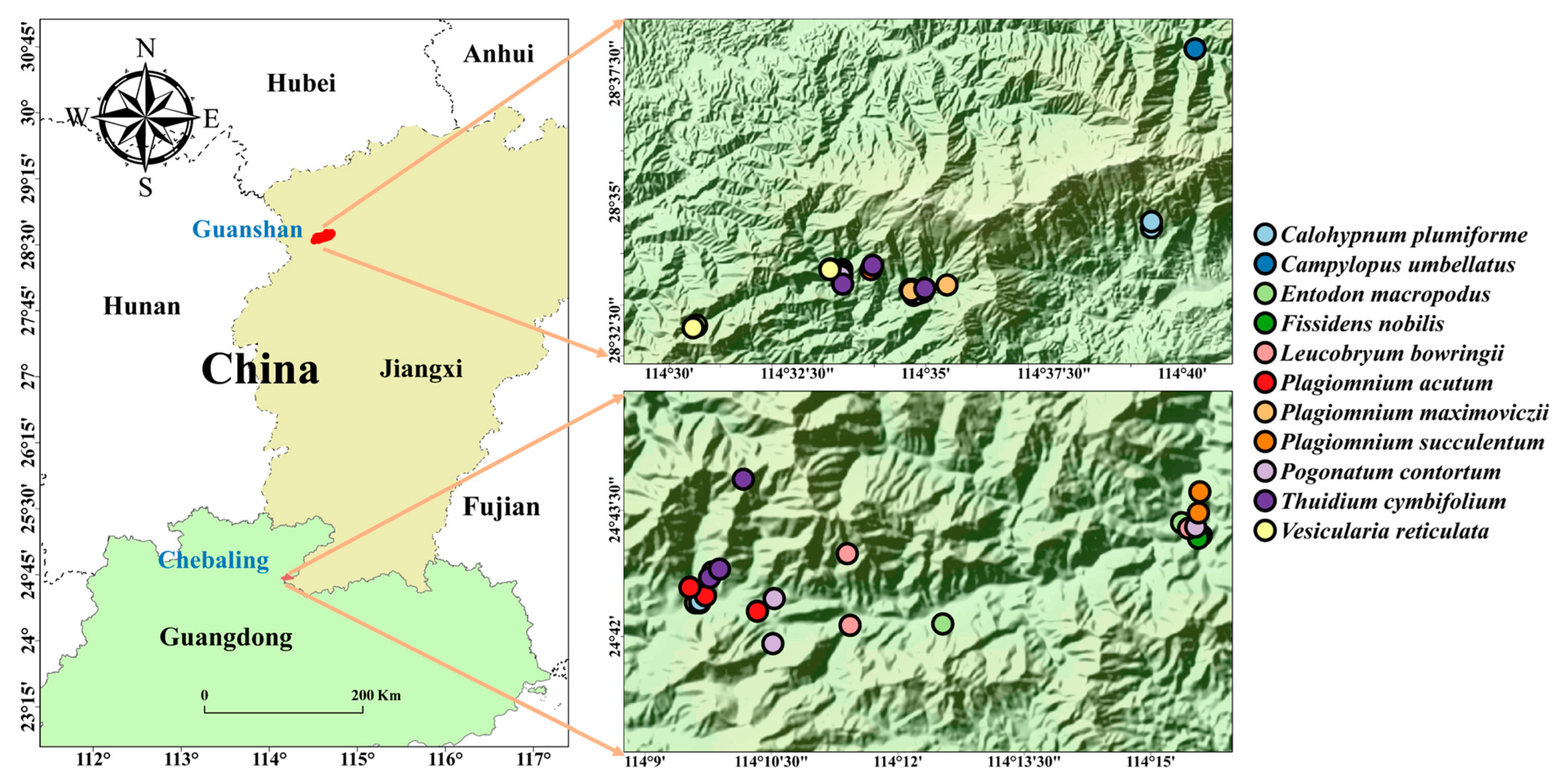 Forests 15 00587 g001