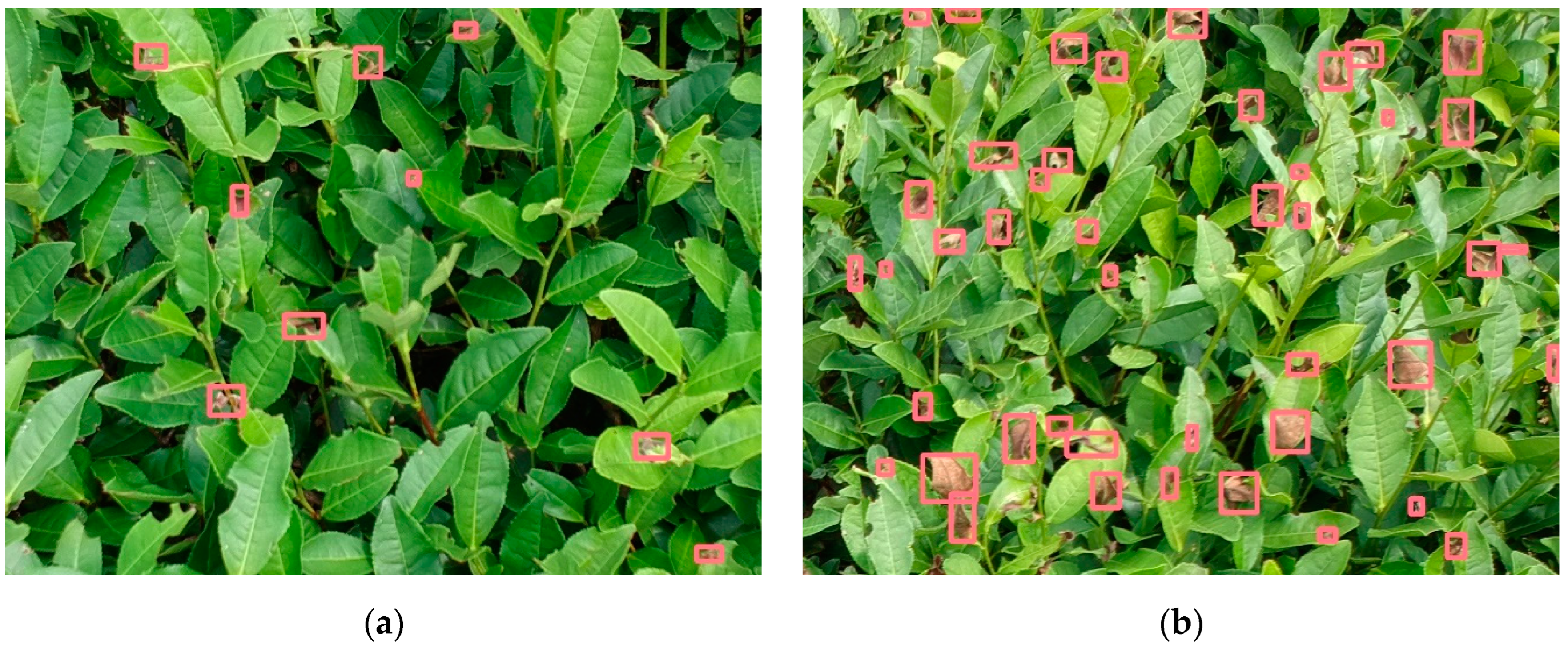 Forests 15 00591 g001a