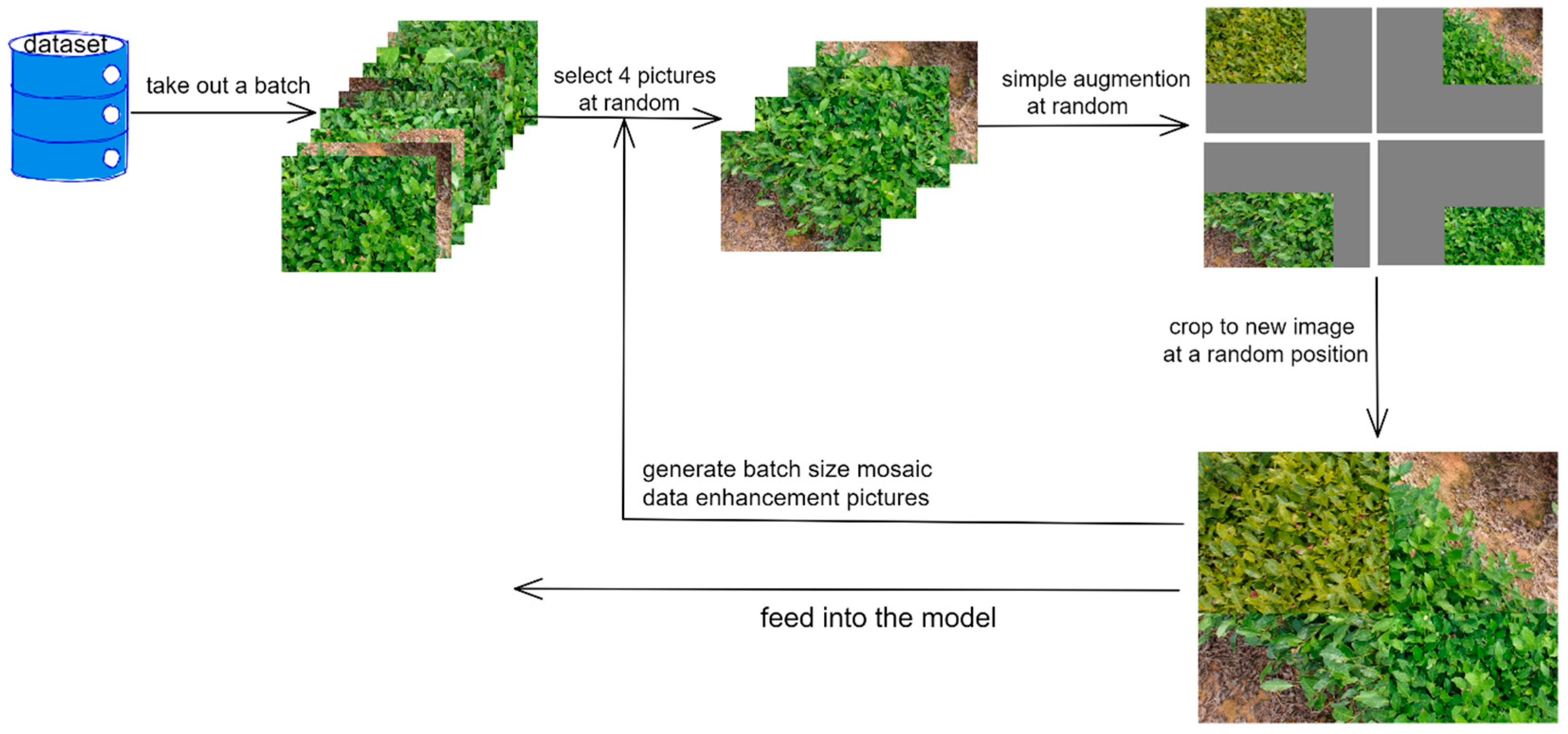 Forests 15 00591 g003
