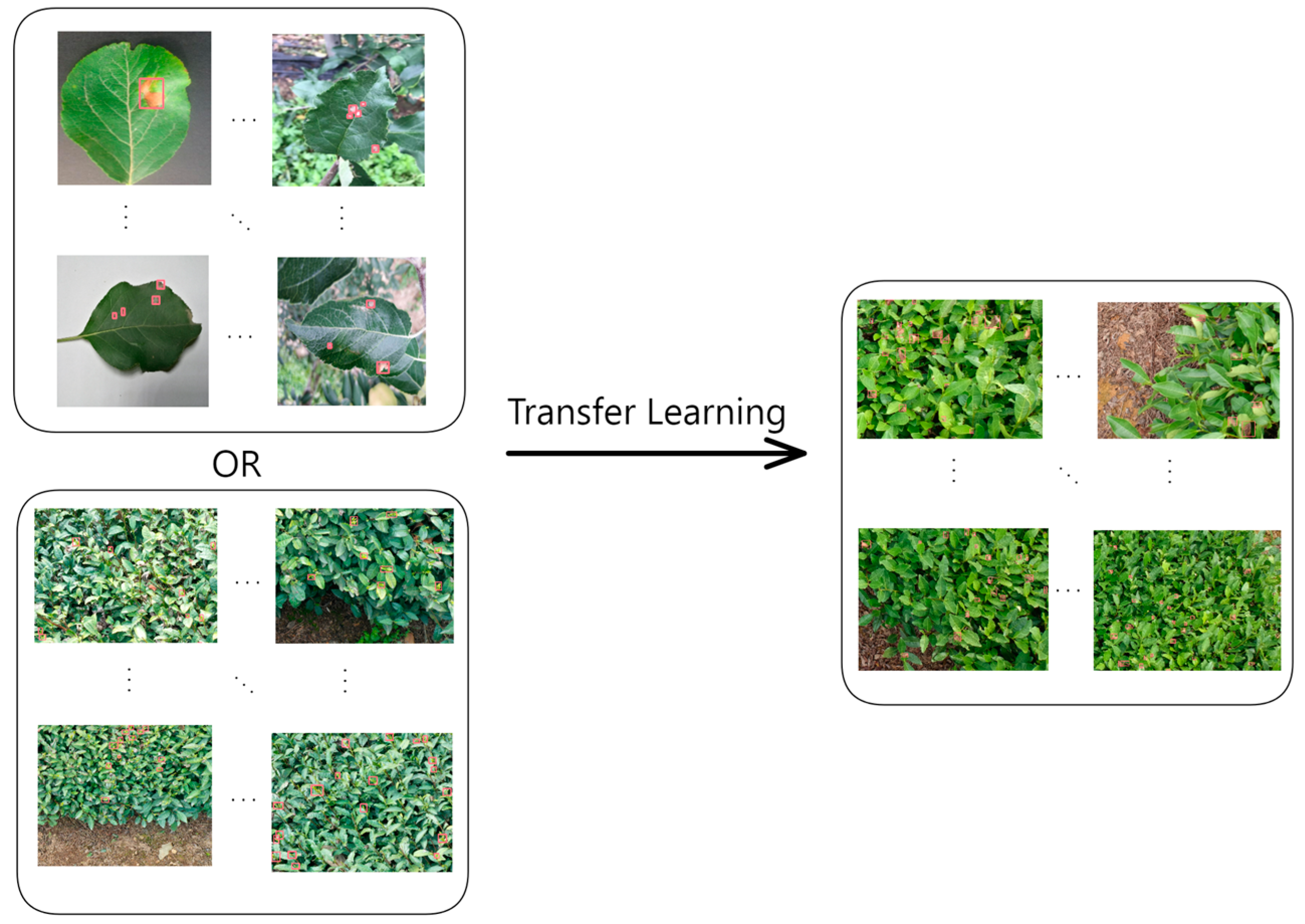 Forests 15 00591 g005