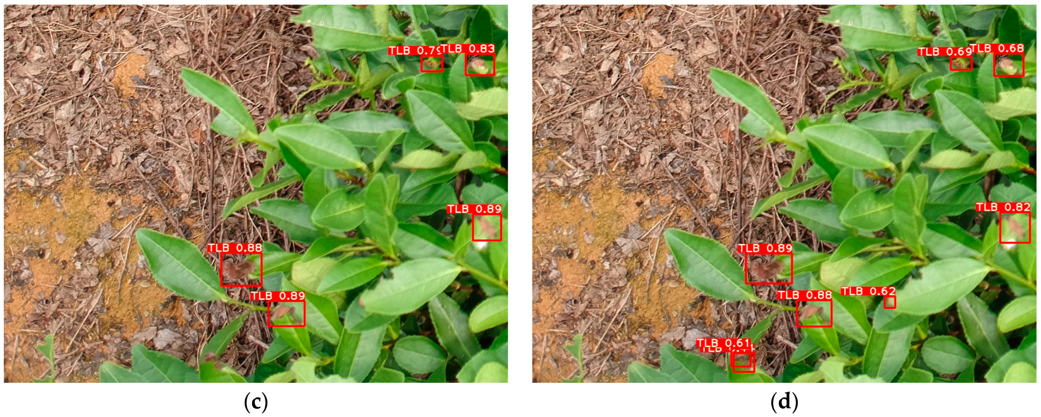 Forests 15 00591 g013b