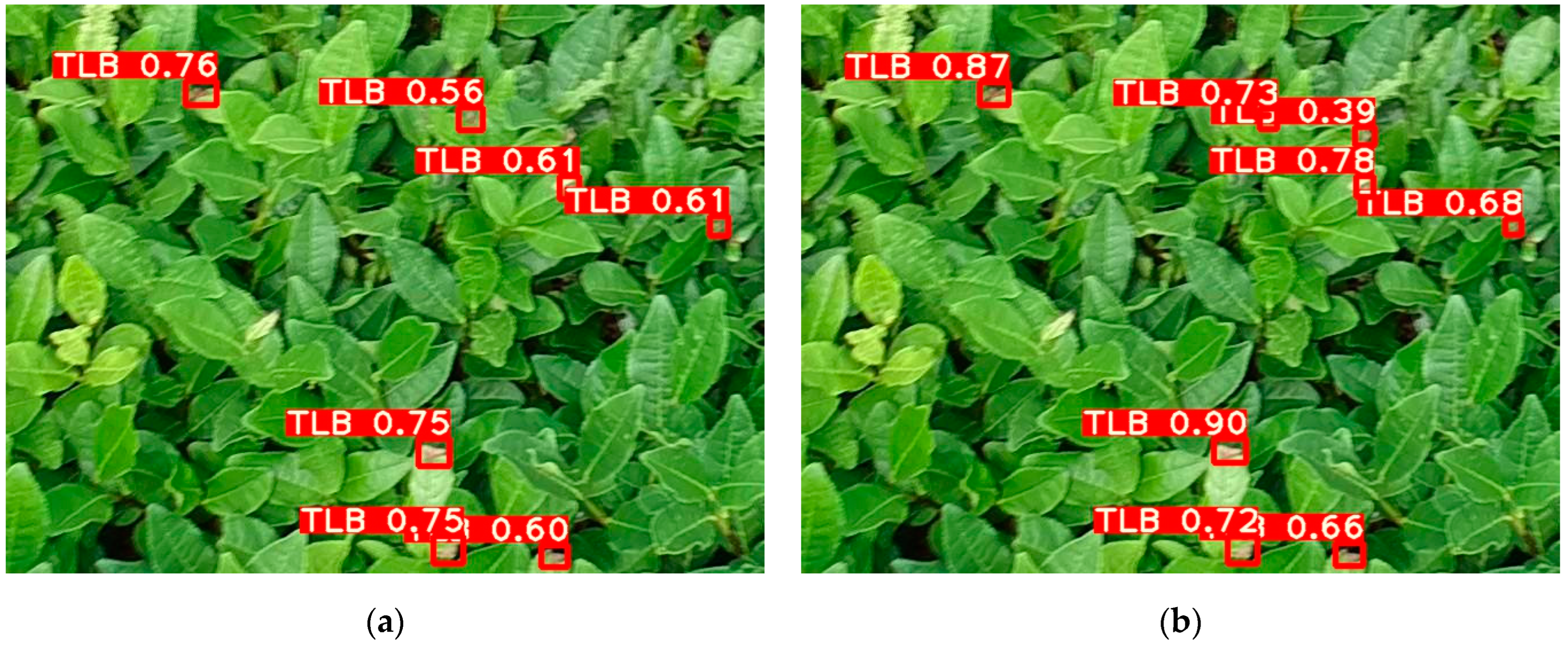 Forests 15 00591 g015