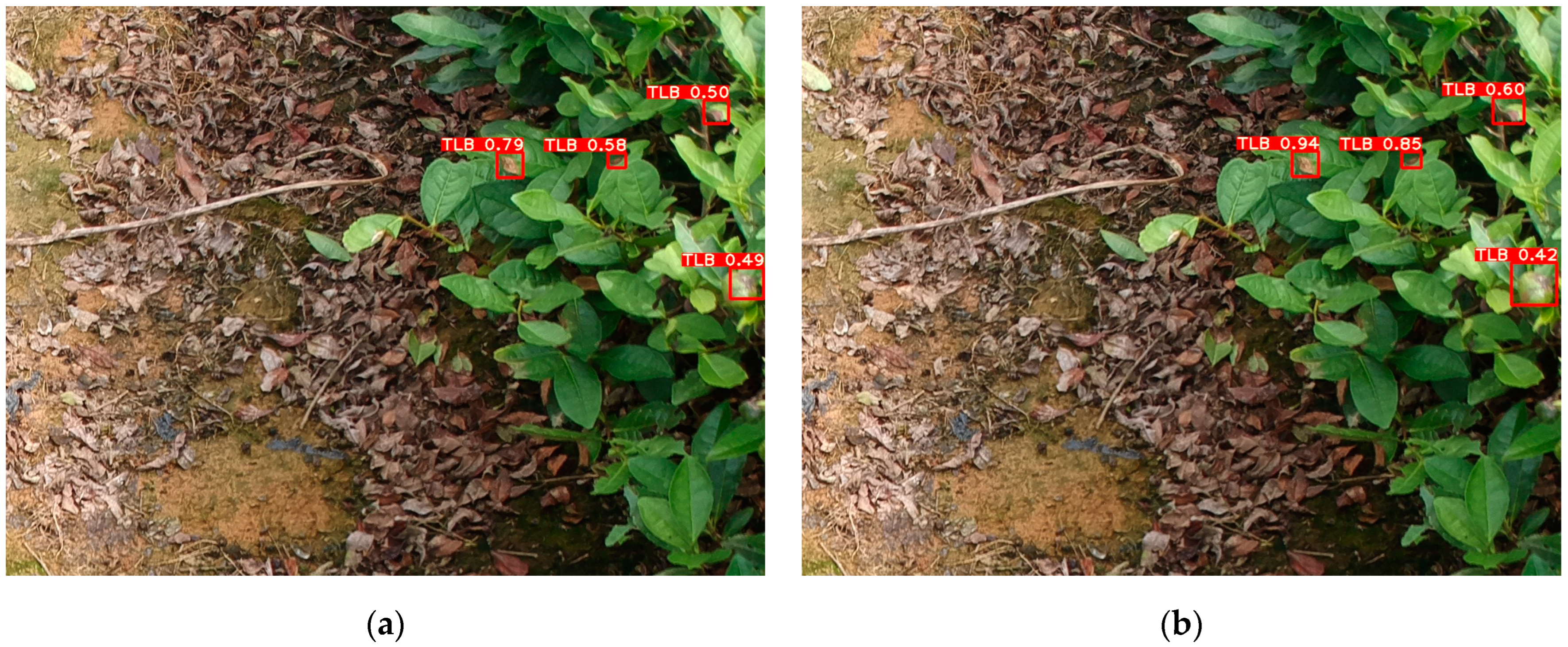 Forests 15 00591 g016