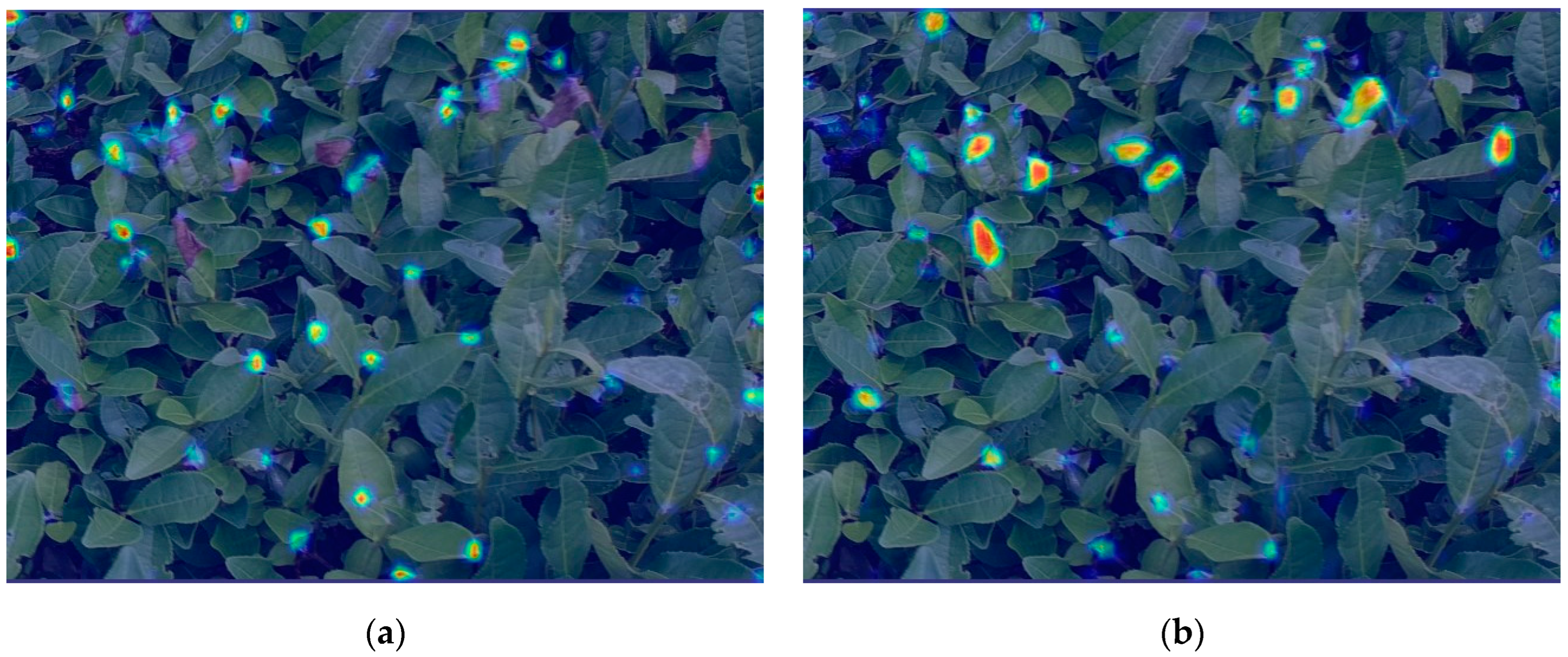 Forests 15 00591 g018