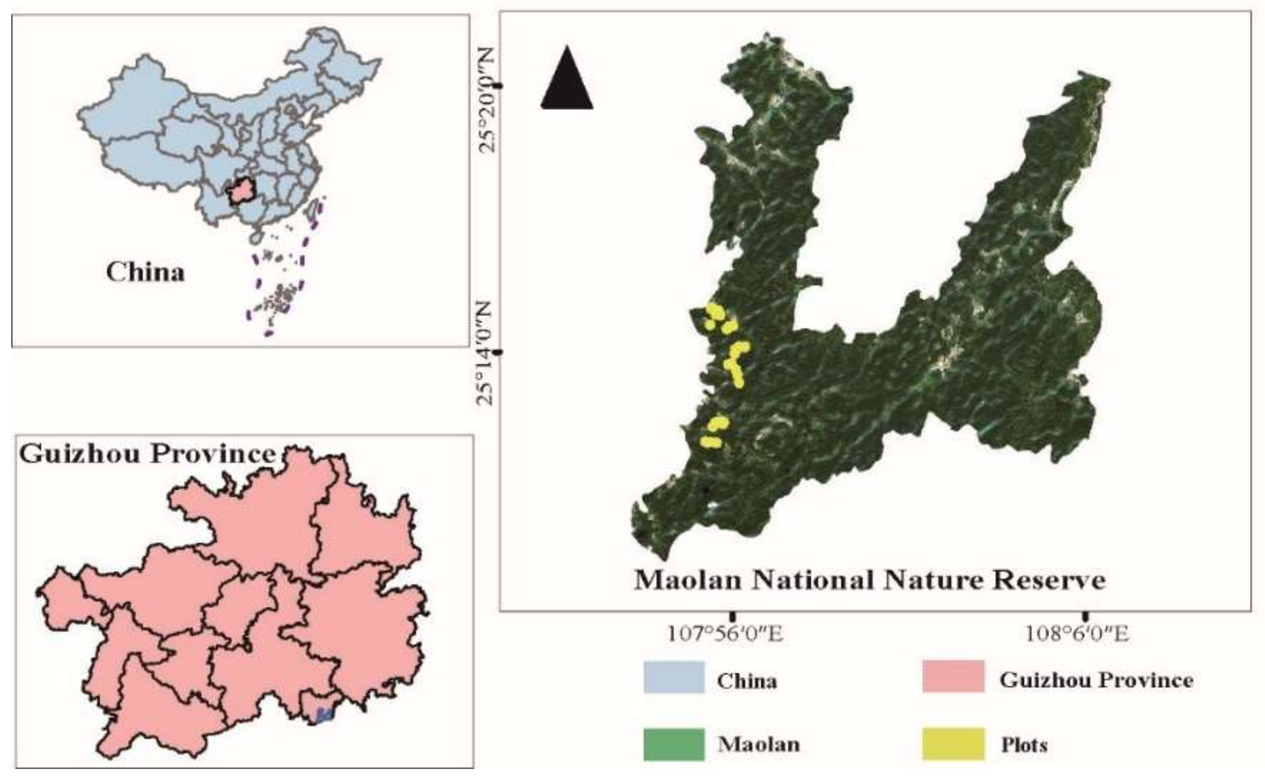 Forests 15 00594 g001