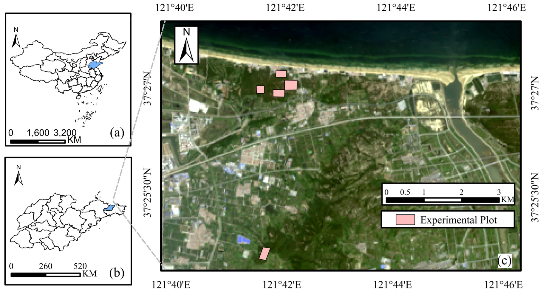 Forests 15 00596 g001