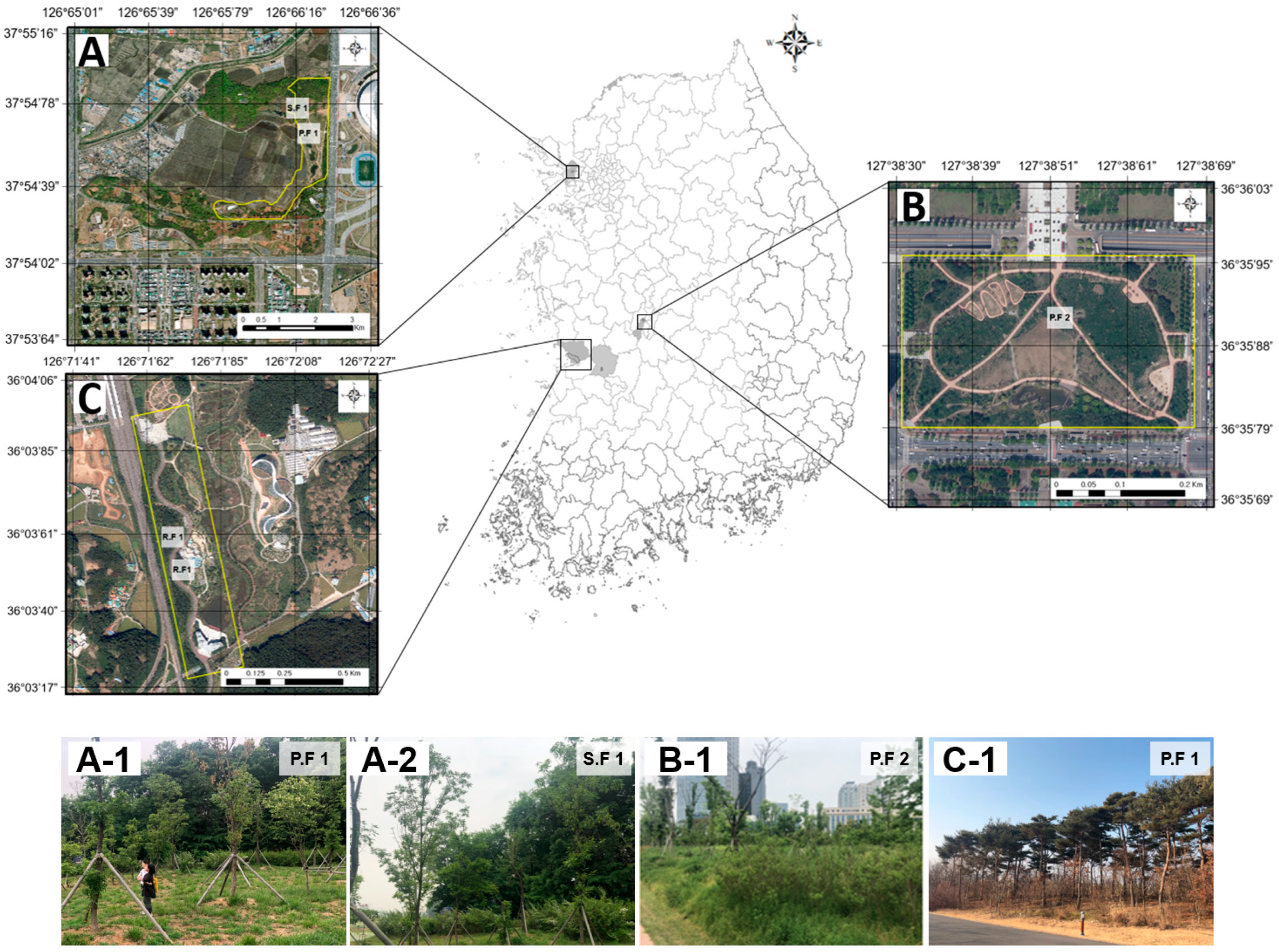 Forests 15 00597 g002