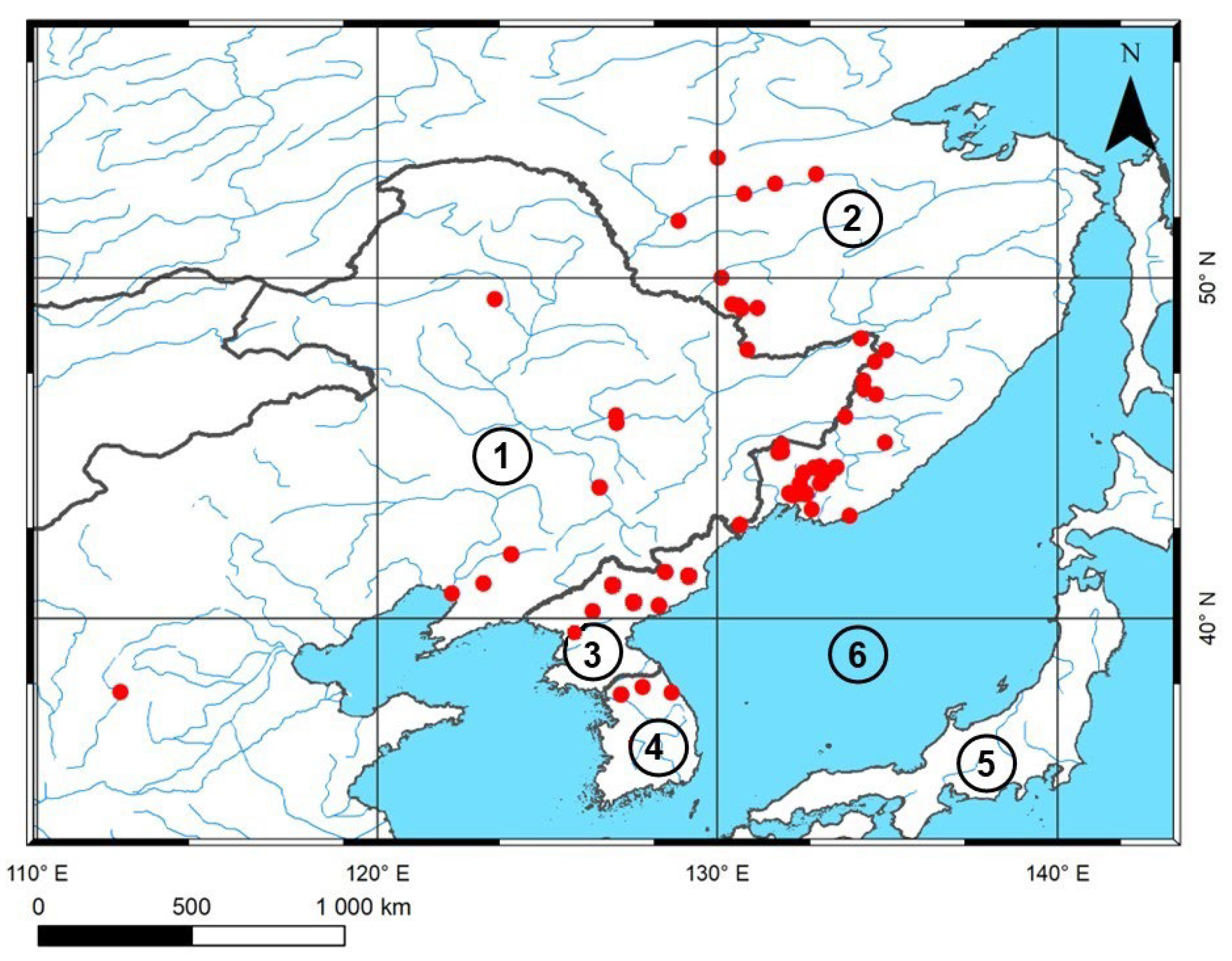 Forests 15 00598 g001