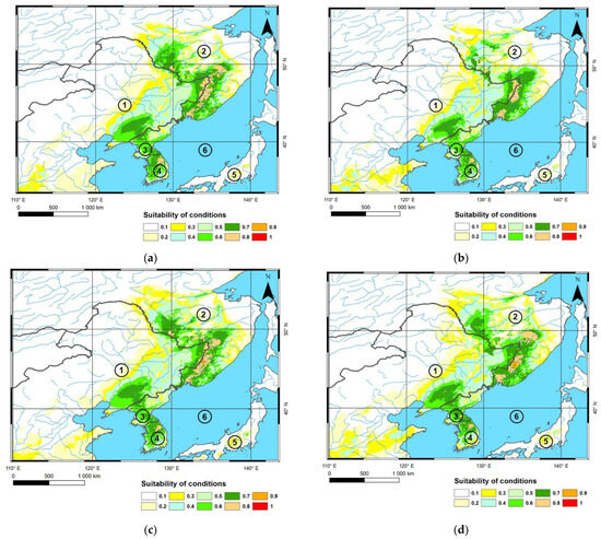 Modelling Distribution of an Endangered Longhorn Beetle