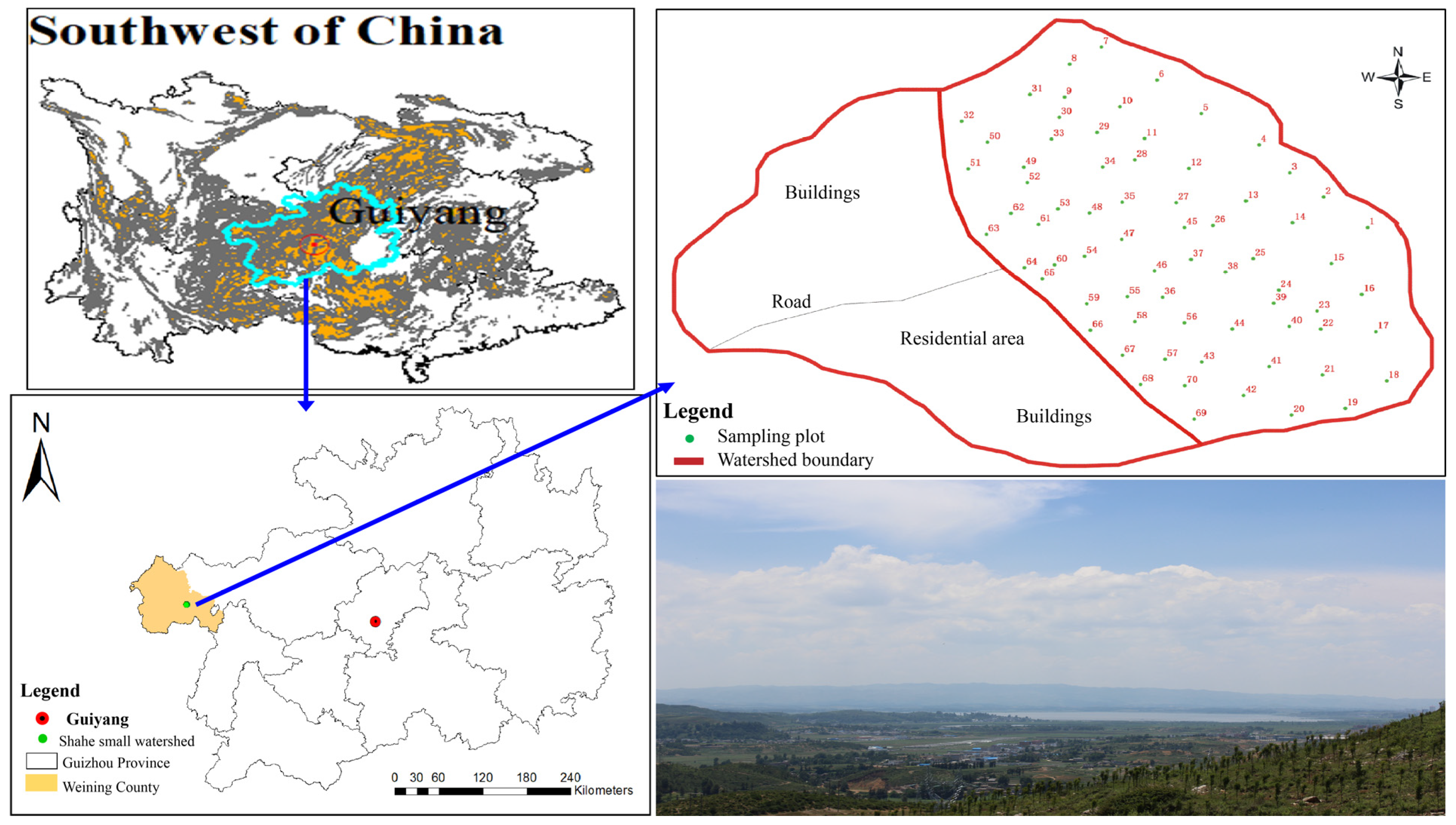 Forests 15 00599 g001