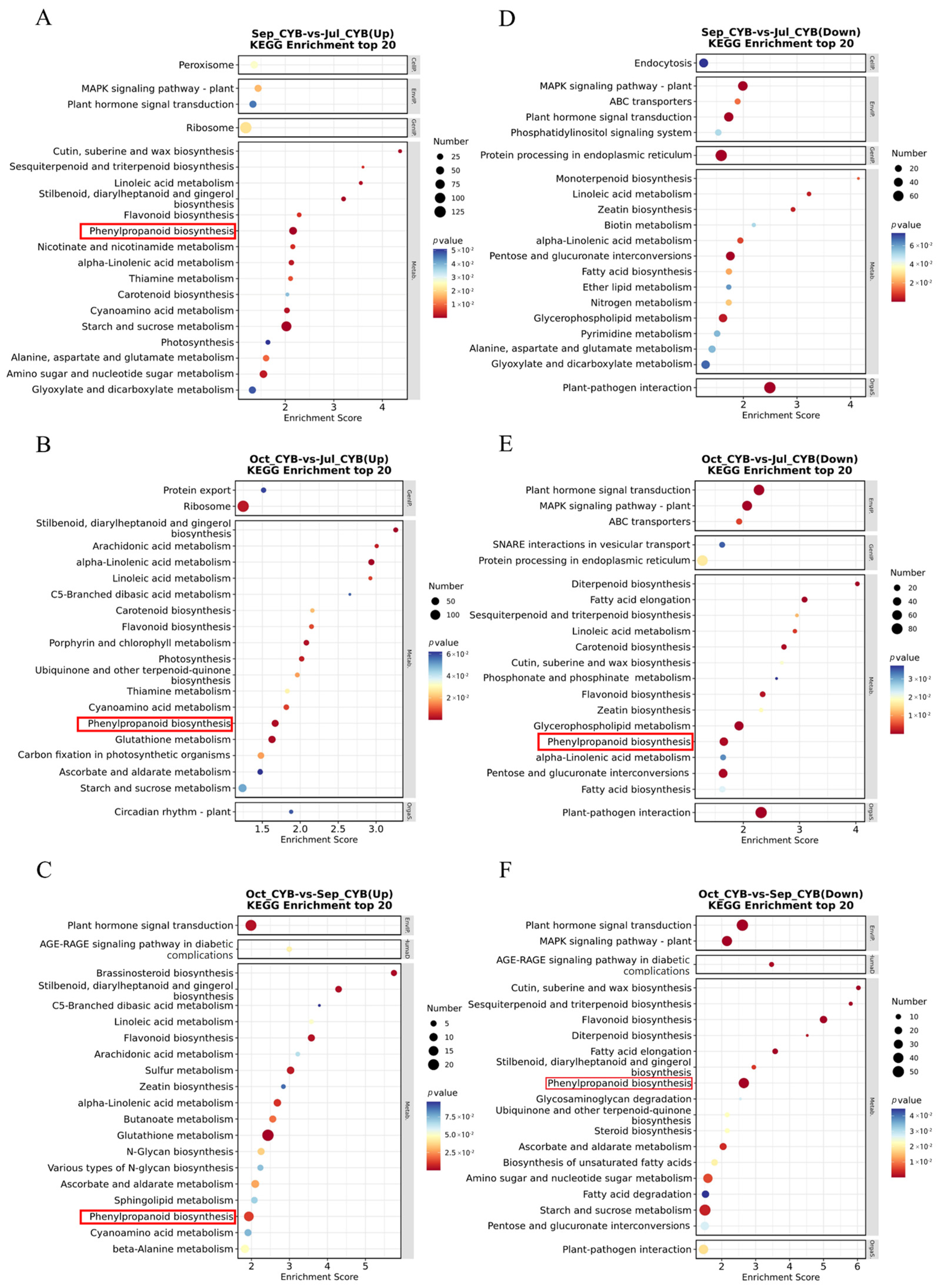 Forests 15 00601 g005