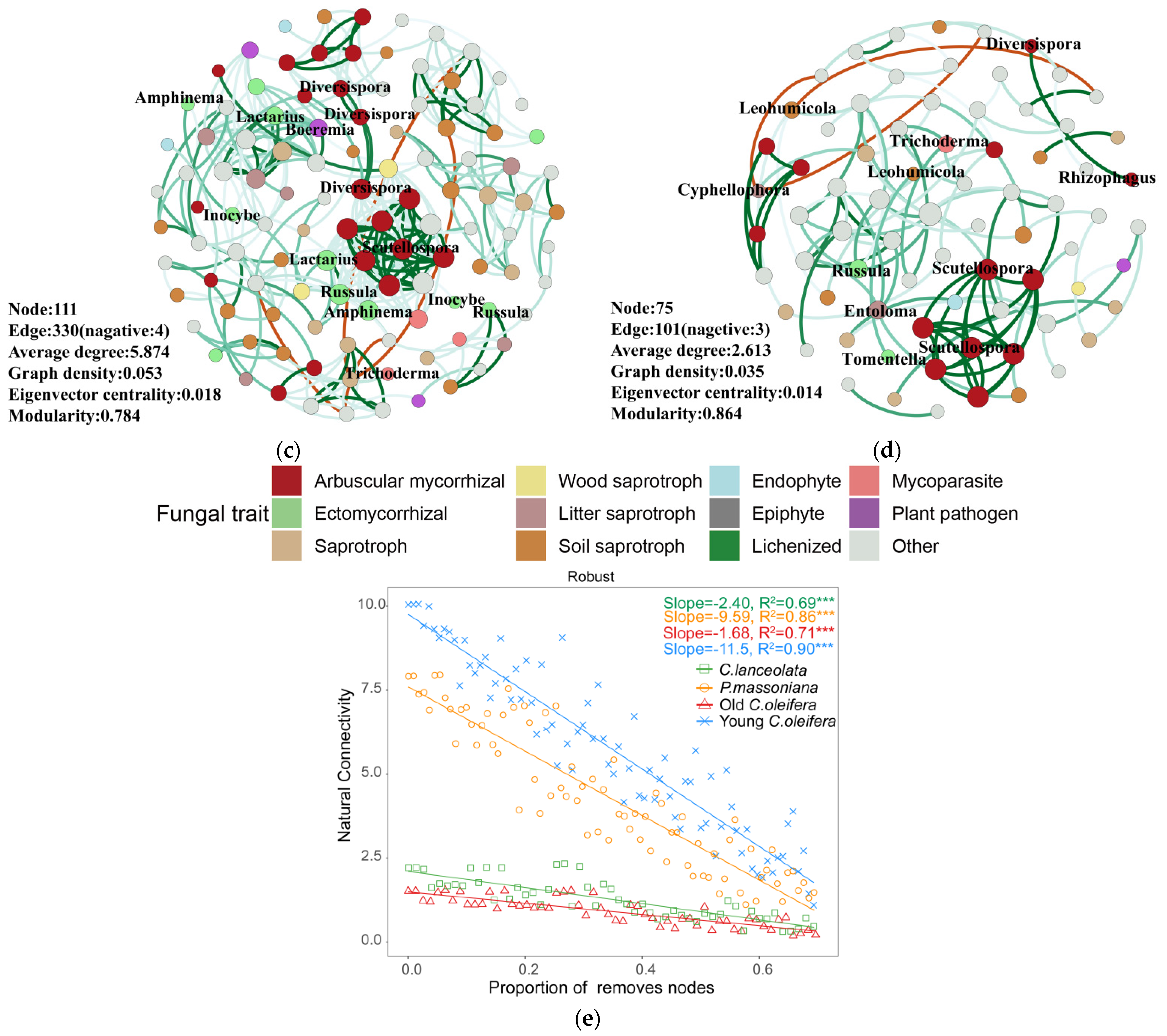 Forests 15 00603 g007b