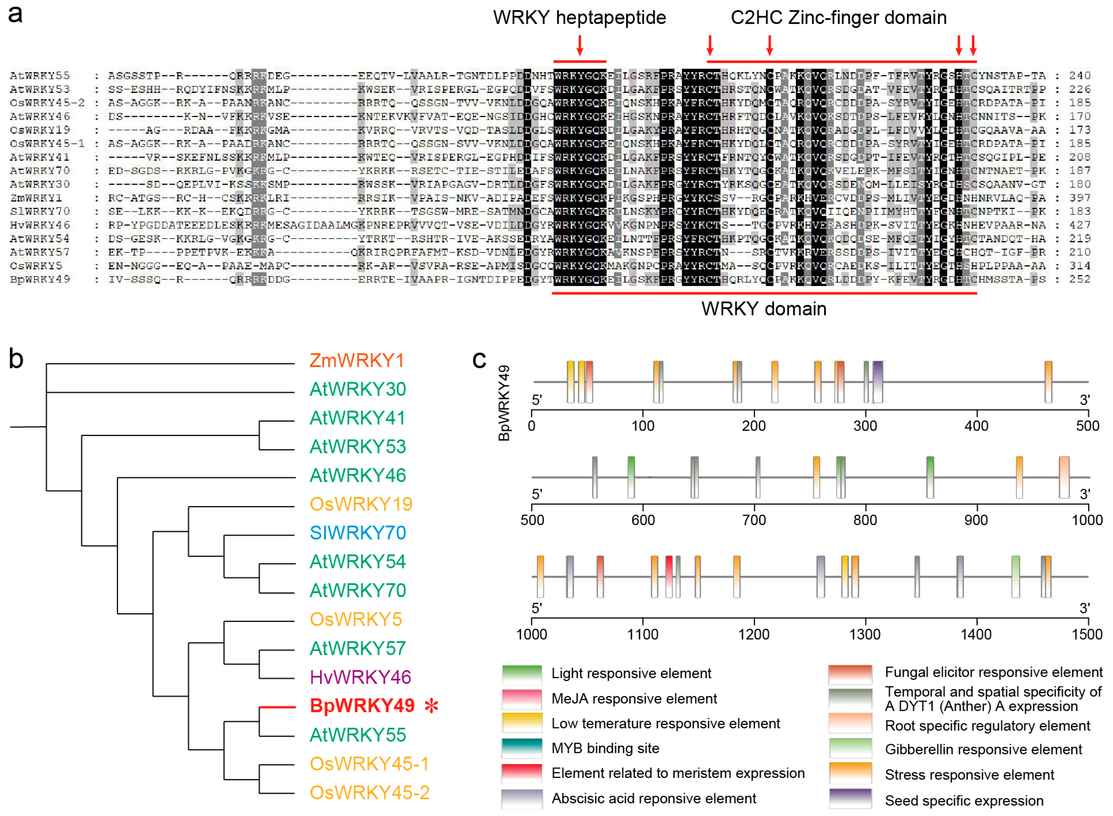 Forests 15 00605 g001