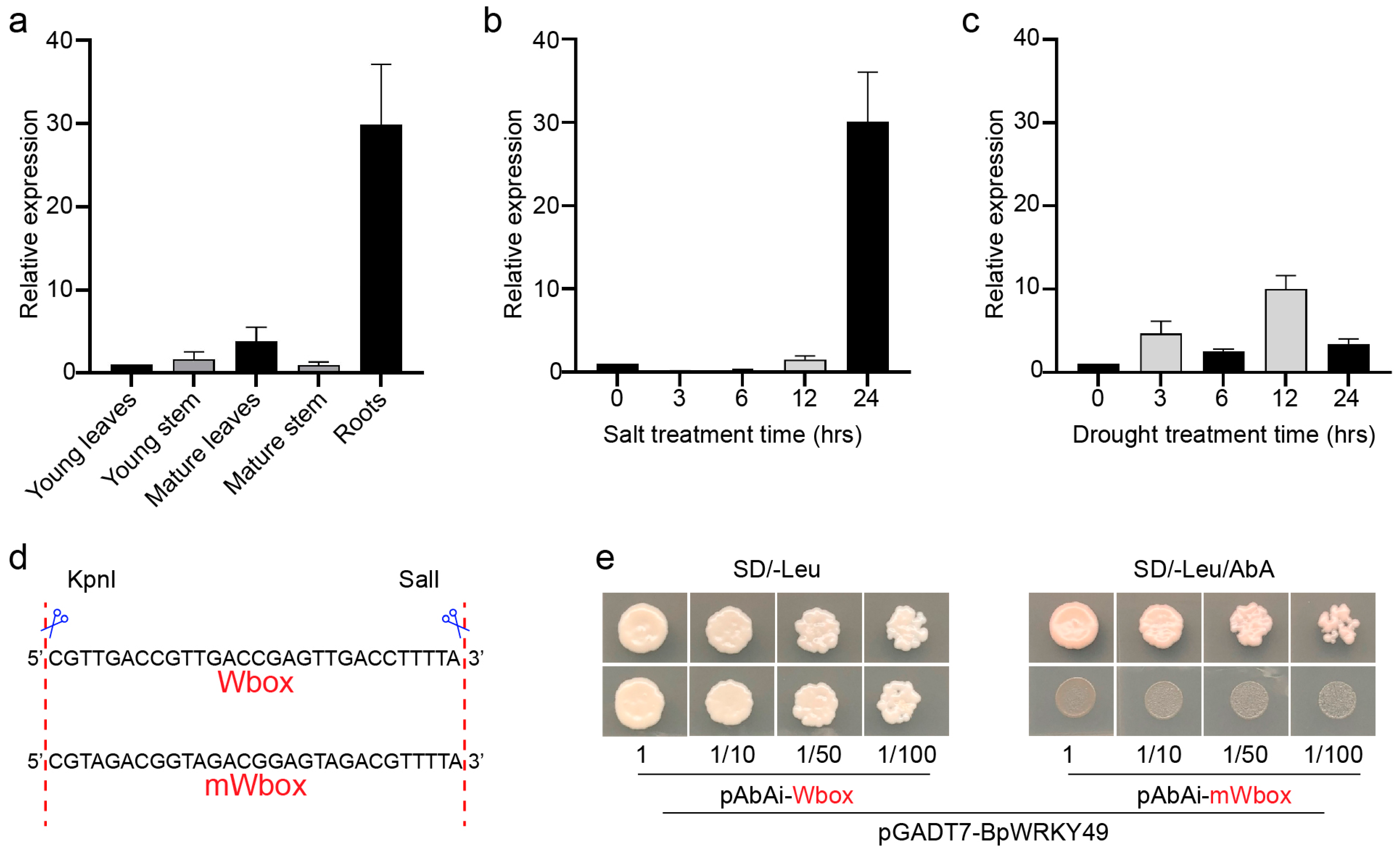 Forests 15 00605 g002