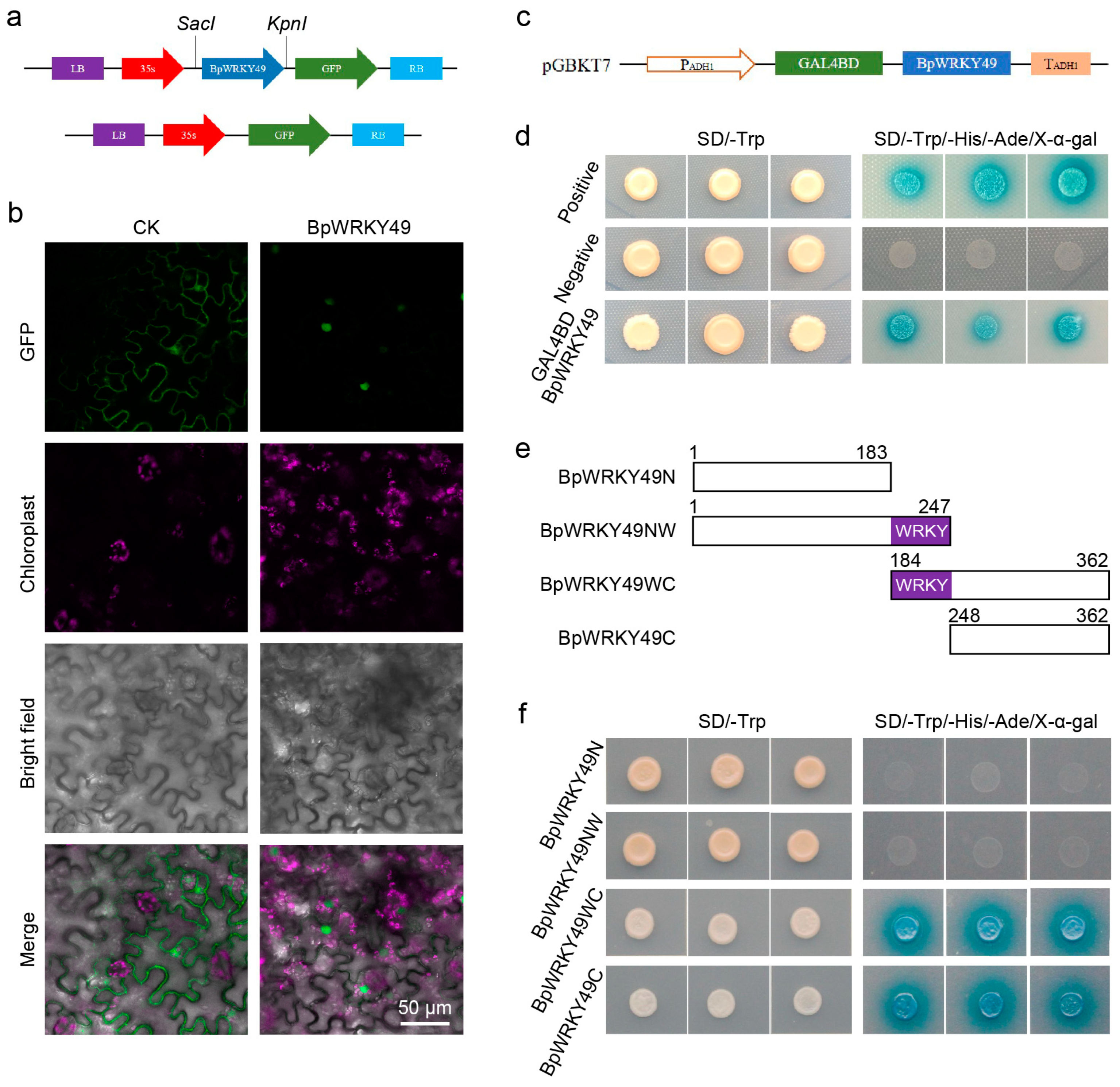 Forests 15 00605 g003