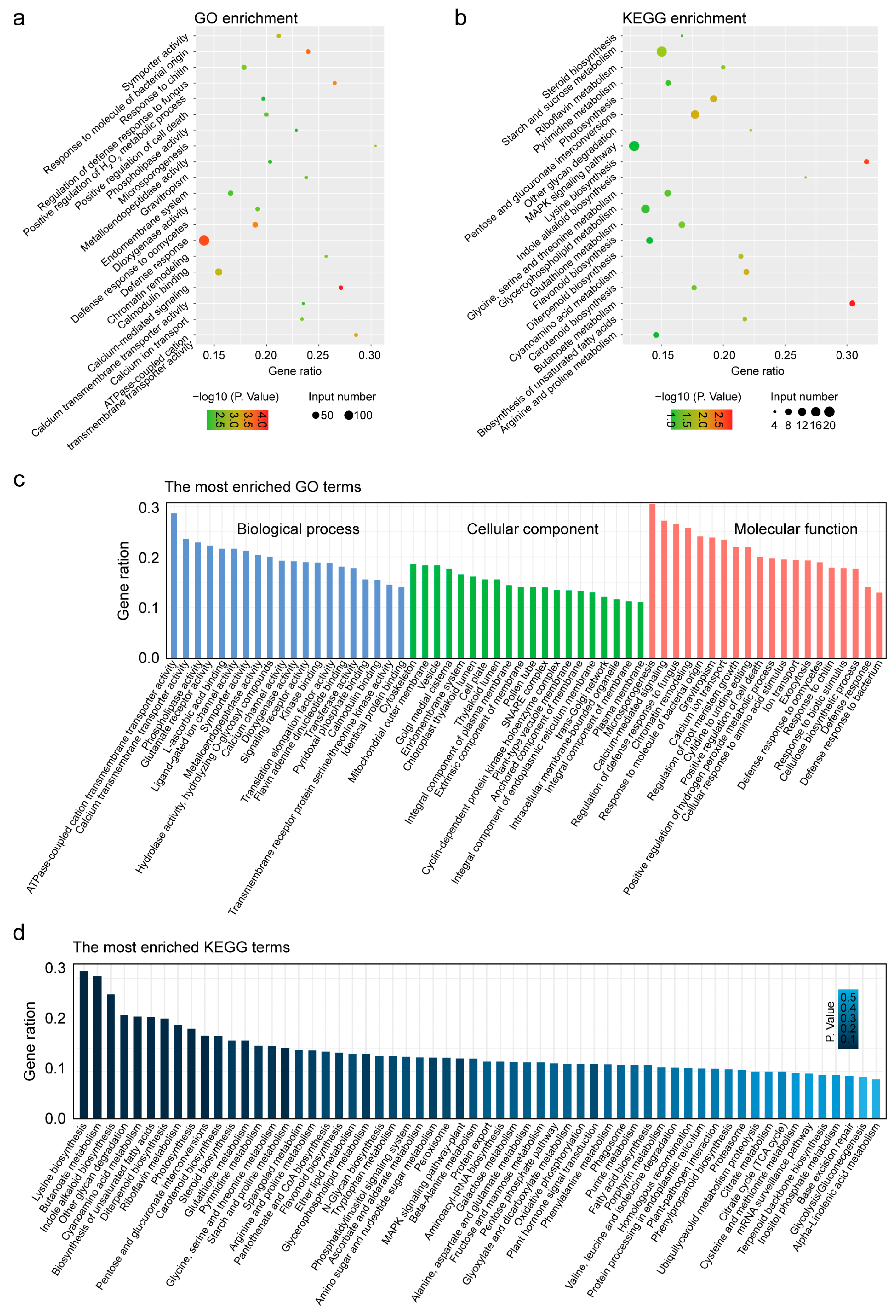 Forests 15 00605 g005