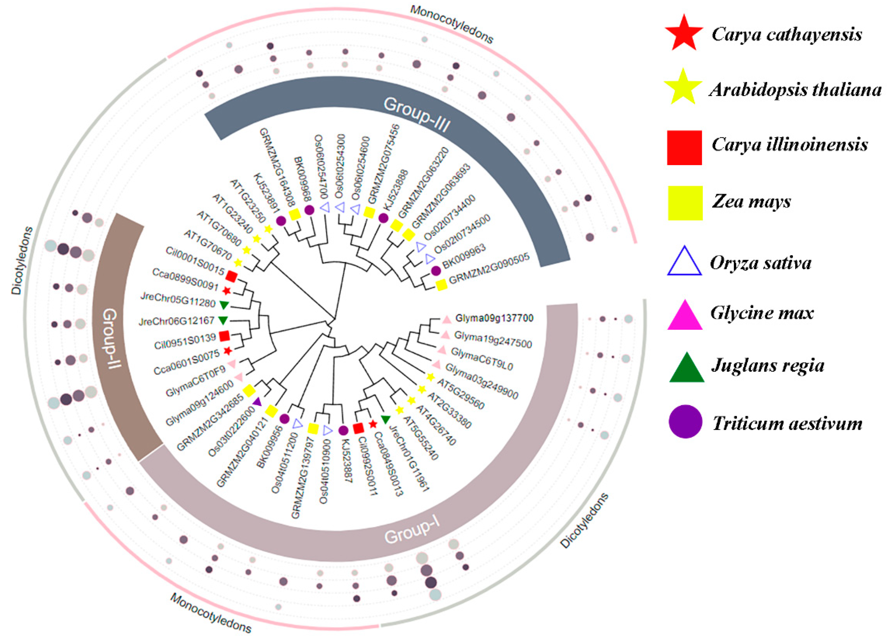 Forests 15 00609 g001