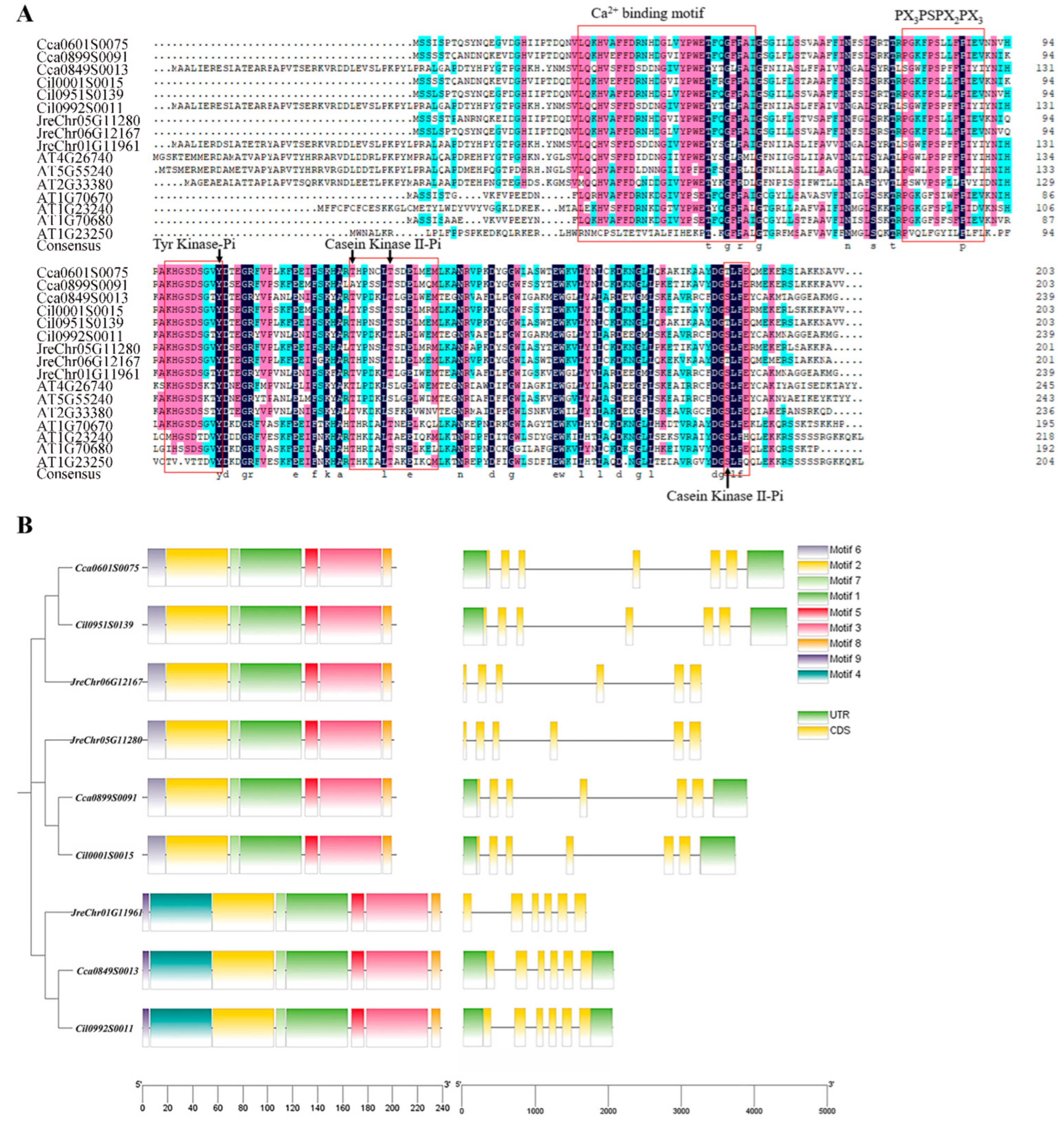 Forests 15 00609 g002