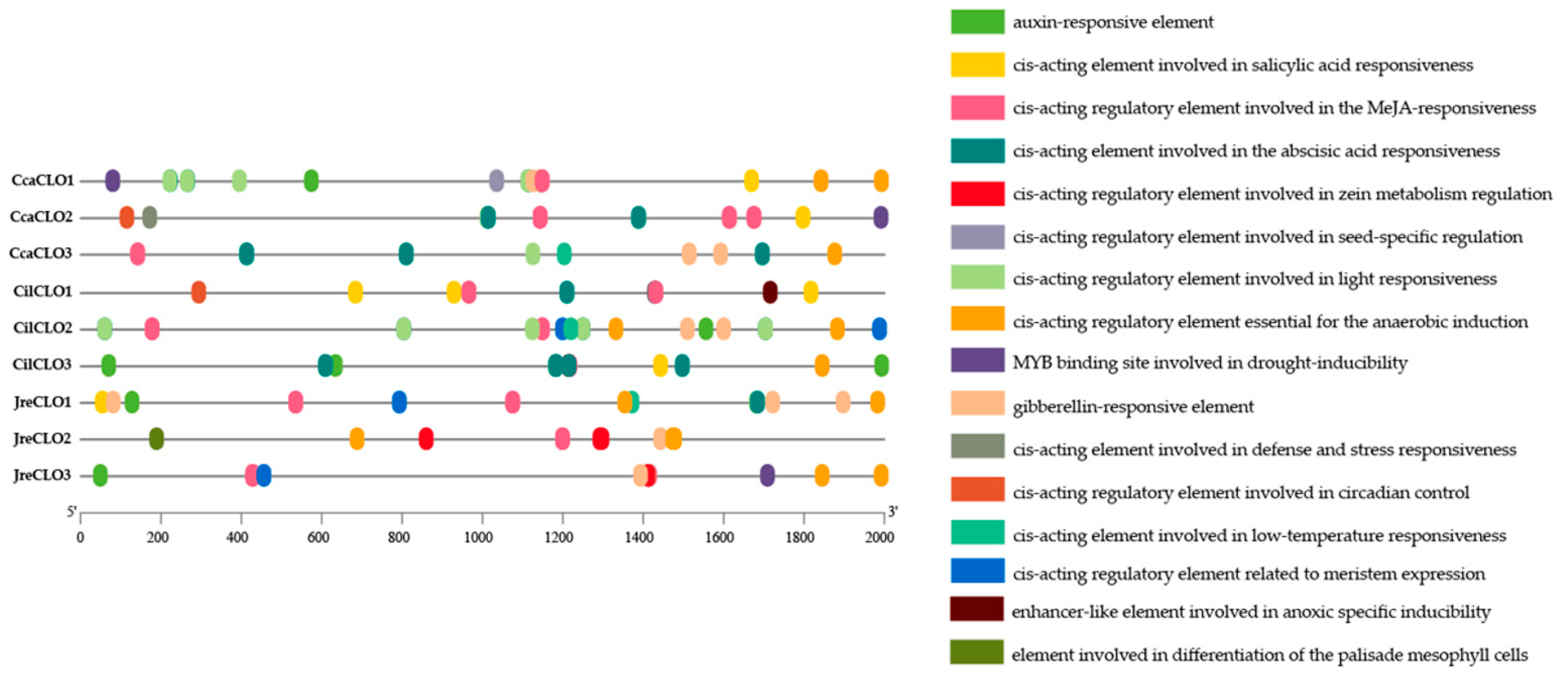 Forests 15 00609 g003