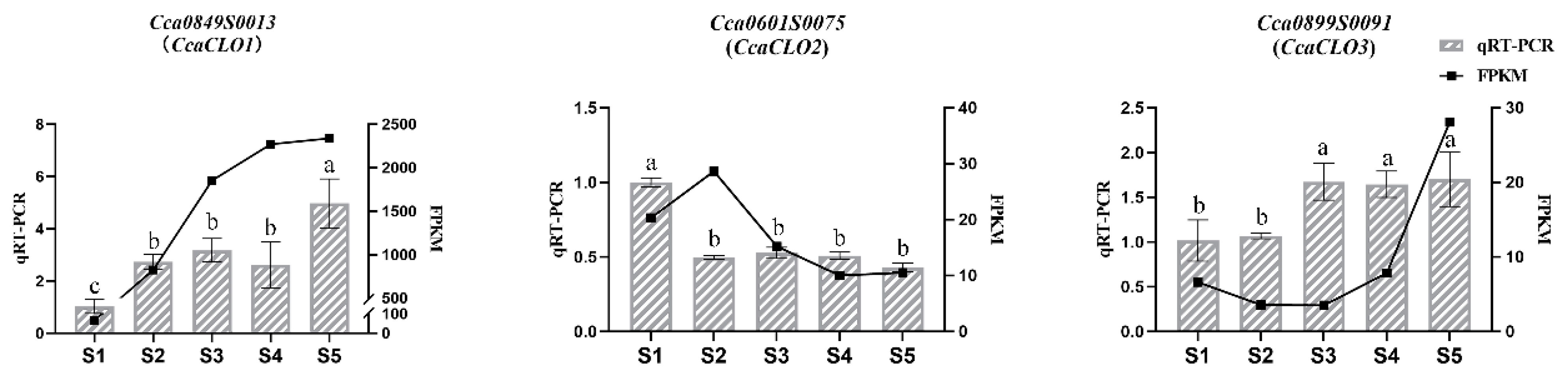 Forests 15 00609 g005