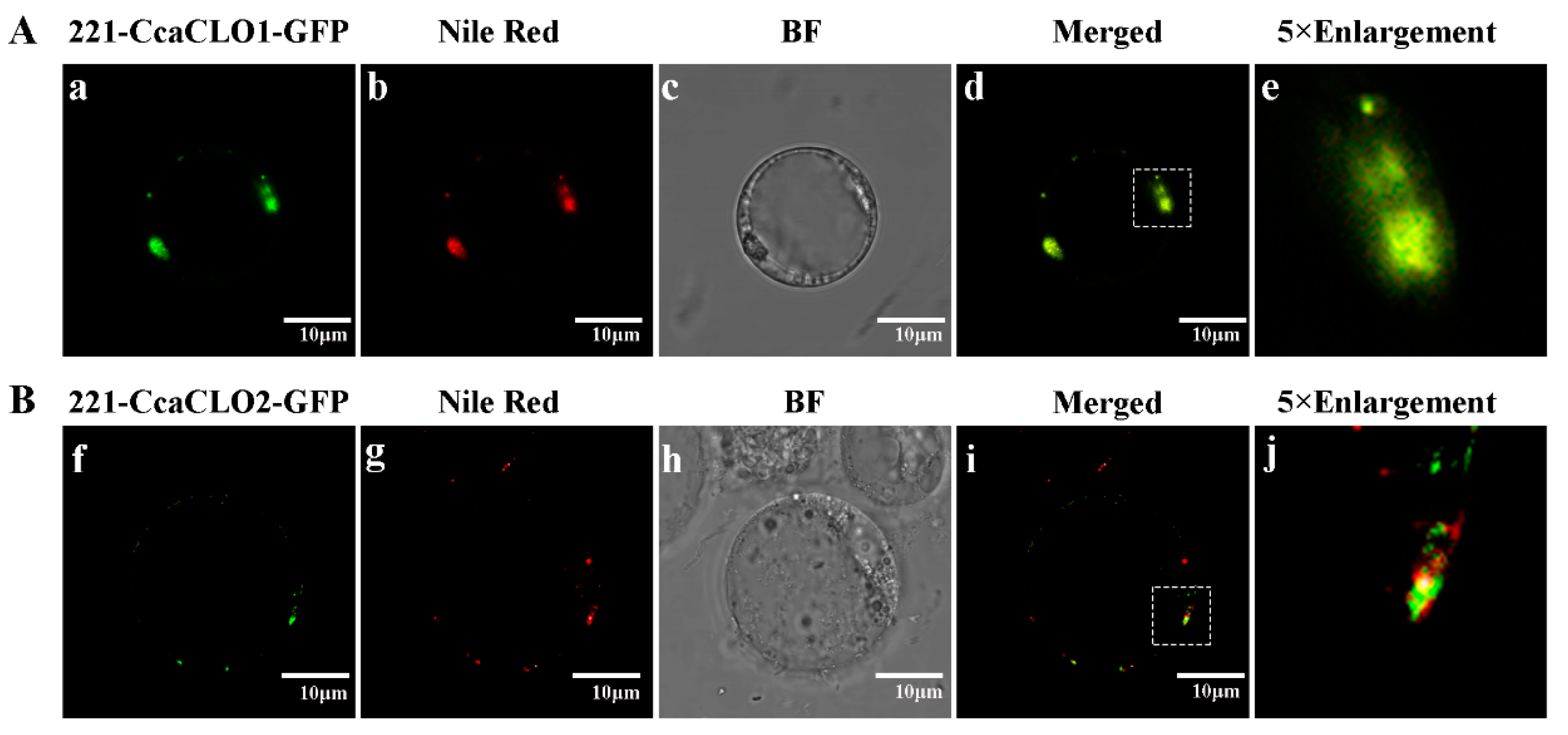 Forests 15 00609 g006