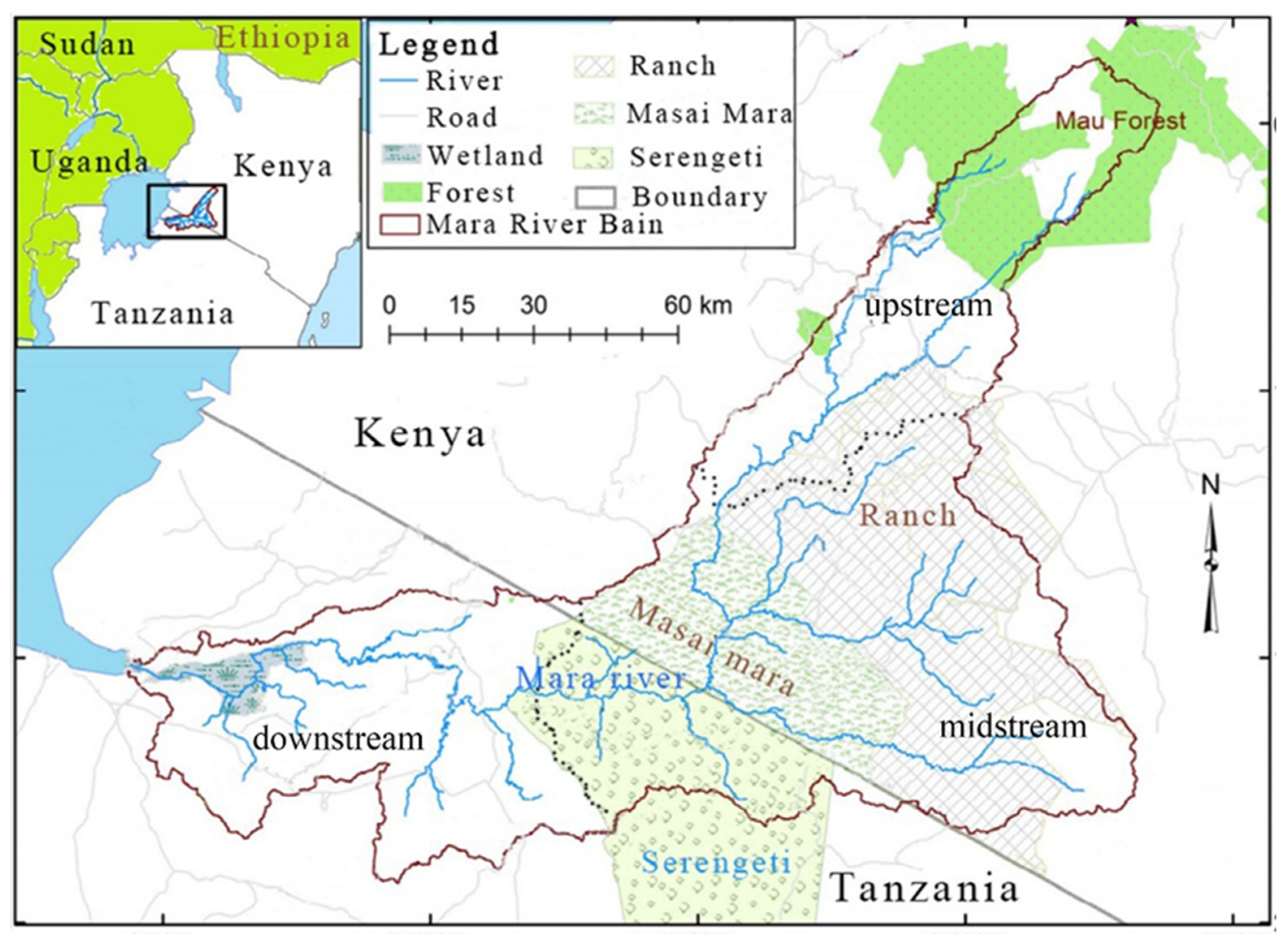 Forests 15 00610 g001