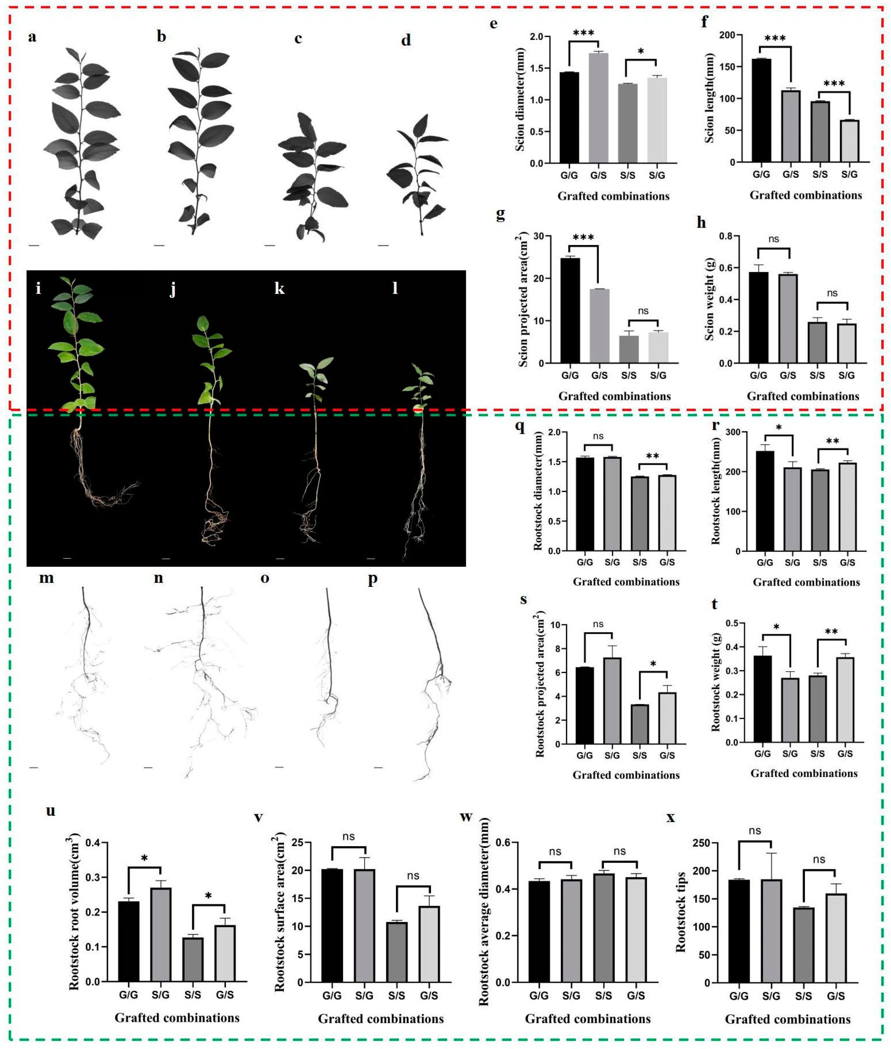Forests 15 00618 g002