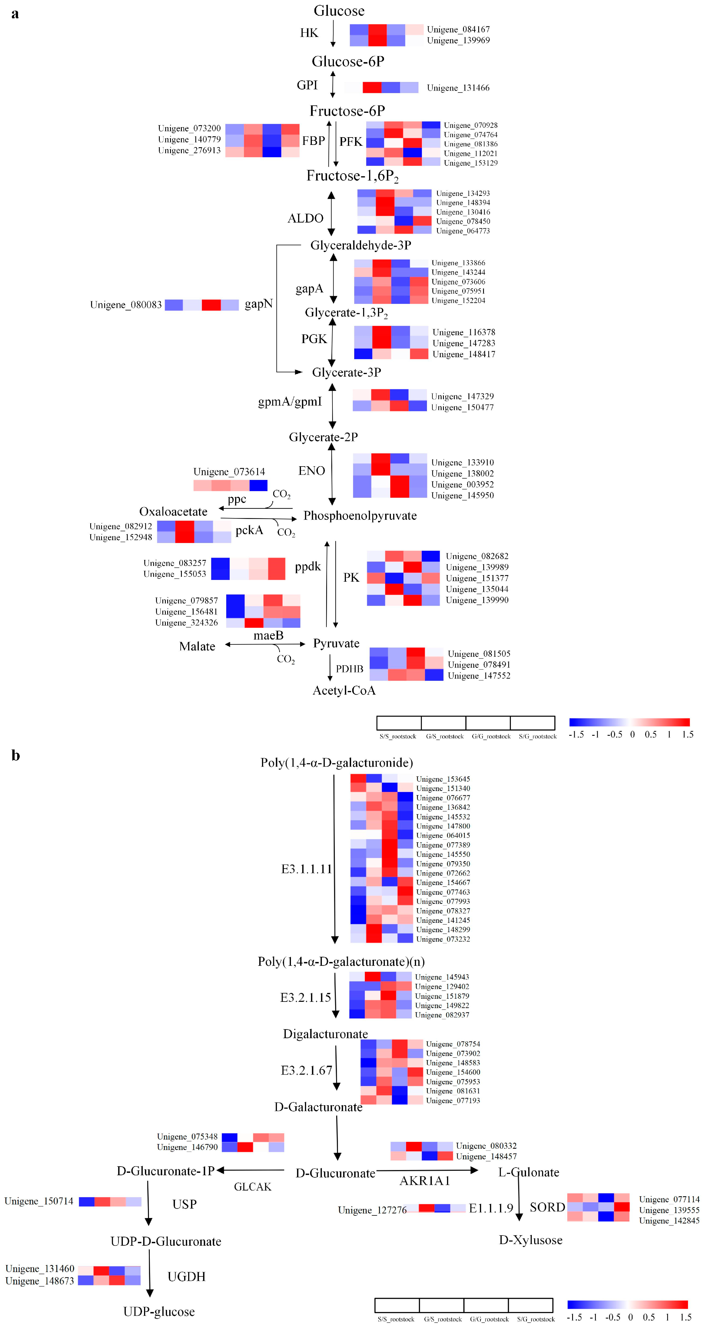 Forests 15 00618 g003