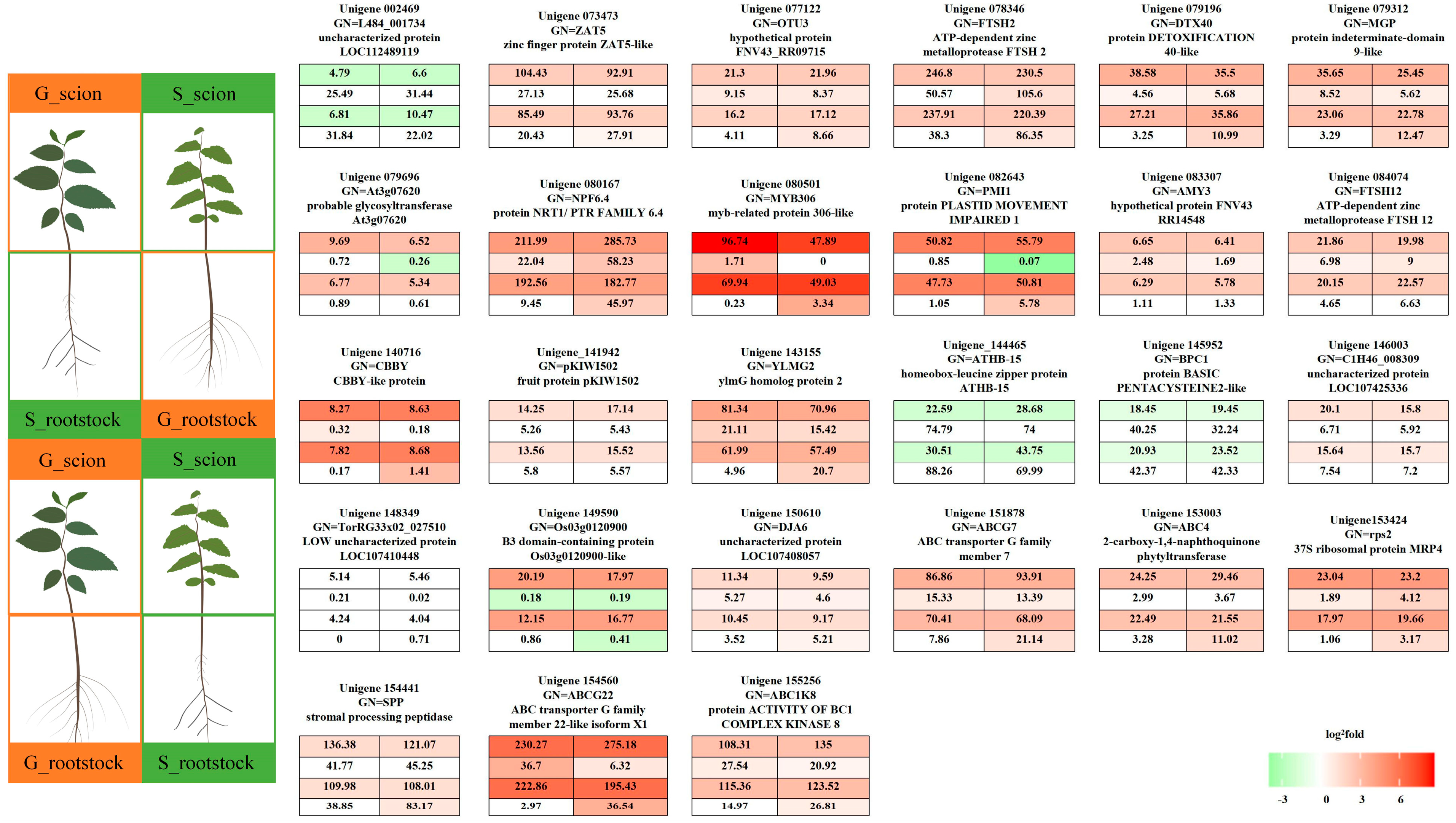 Forests 15 00618 g006